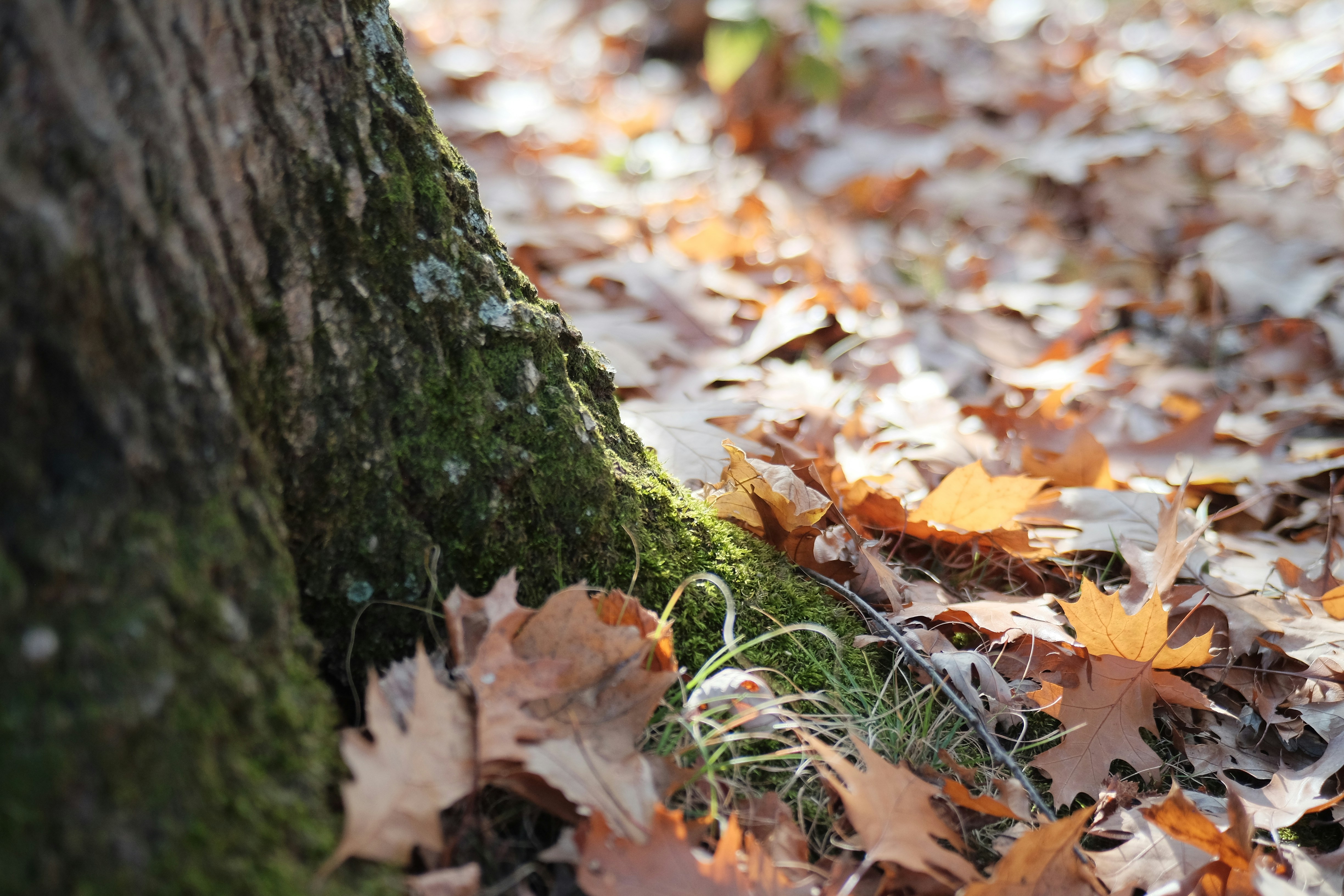 Photo by andreas_qie