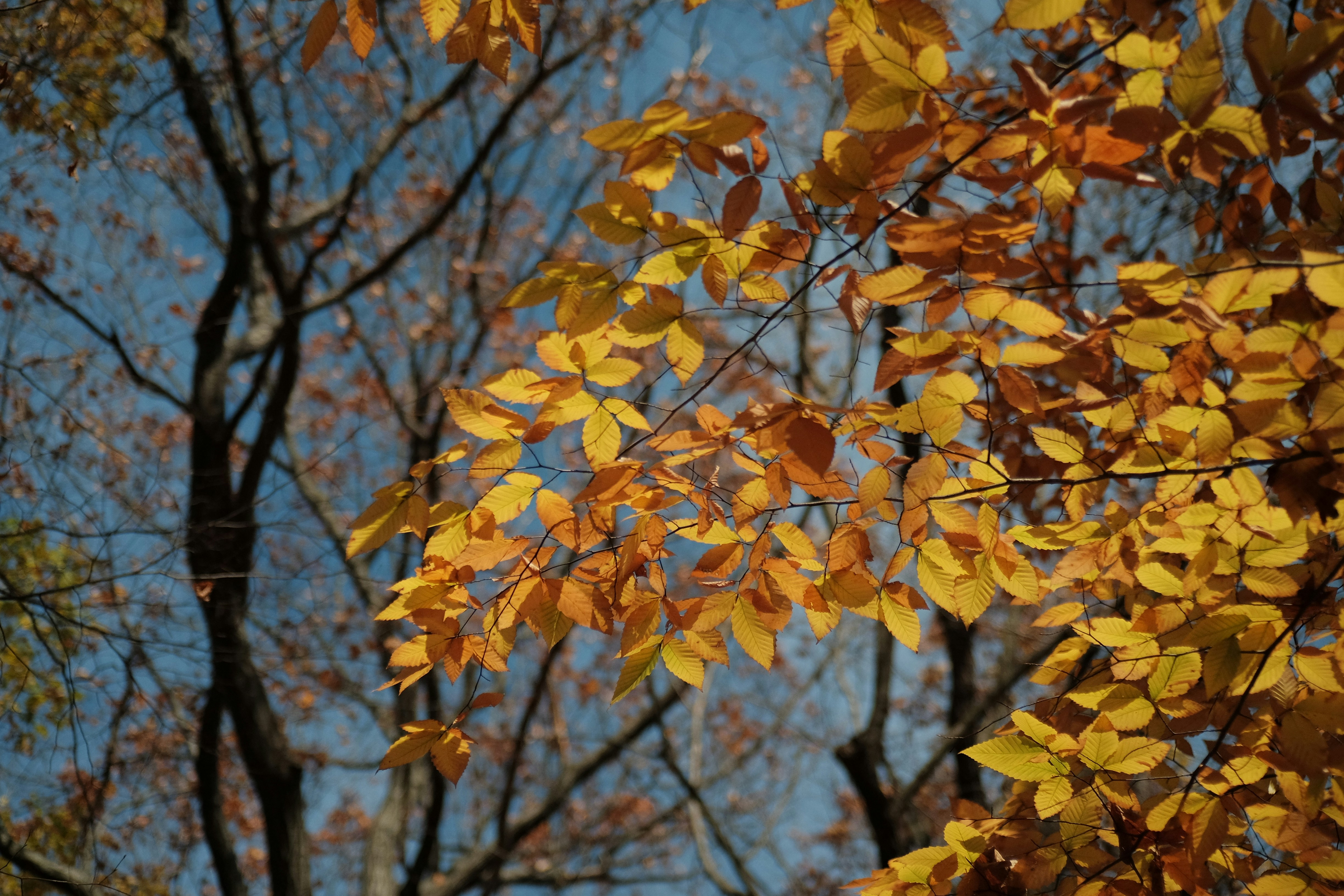 Photo by andreas_qie