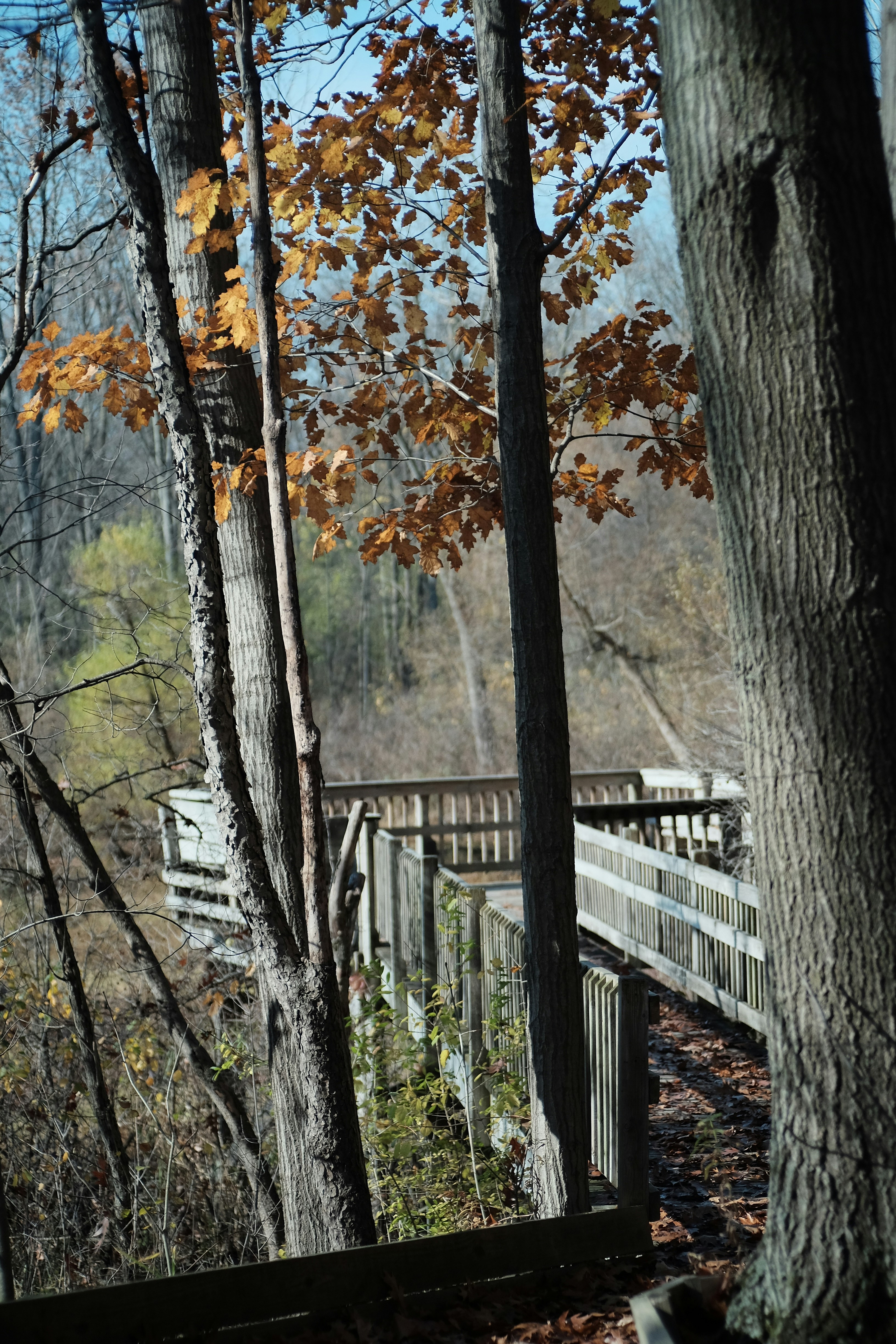 Photo by andreas_qie