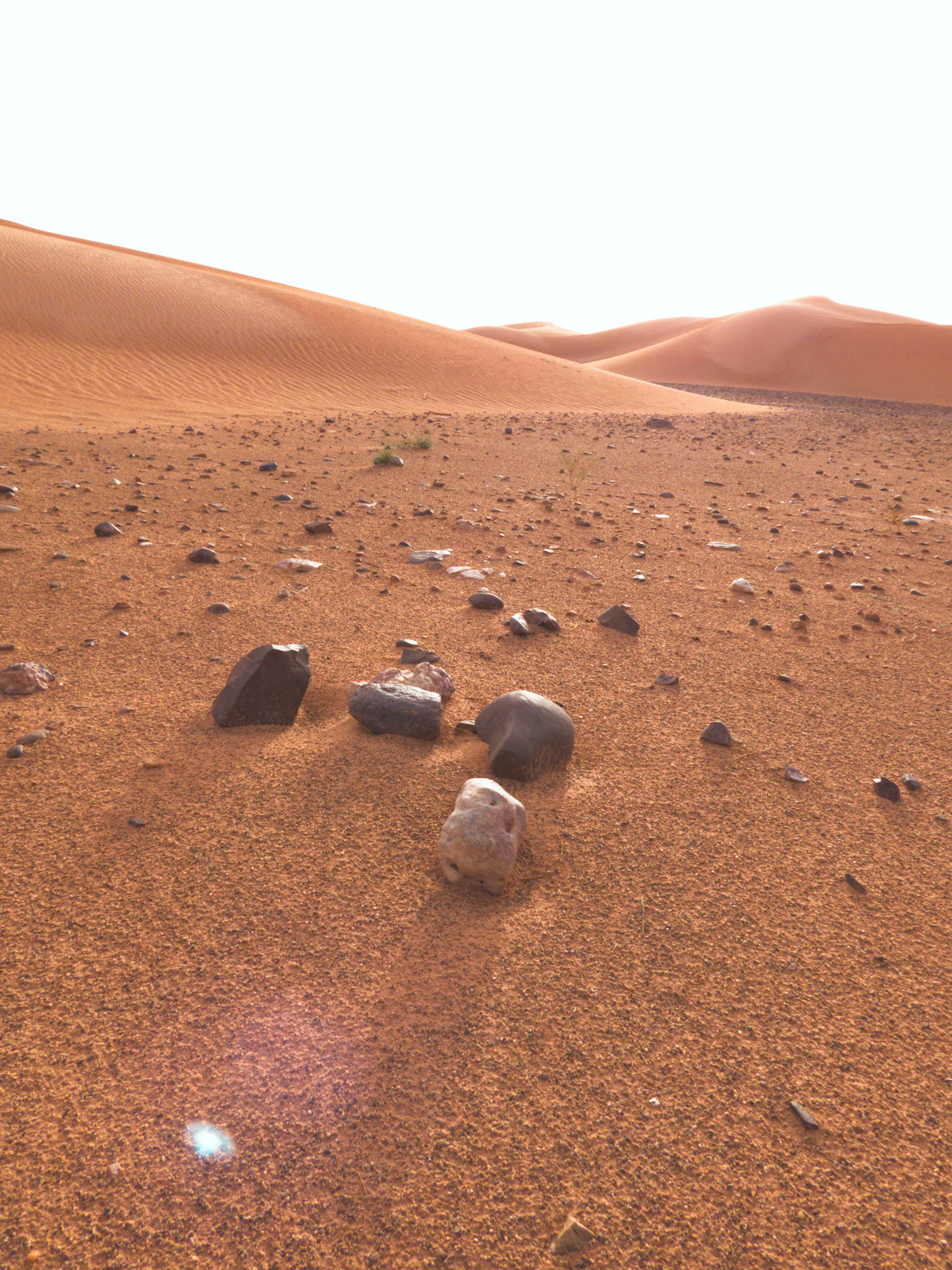 a desert landscape with rocks