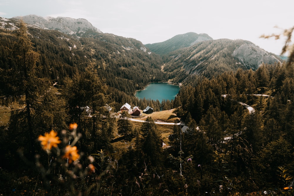 a lake surrounded by trees and mountains