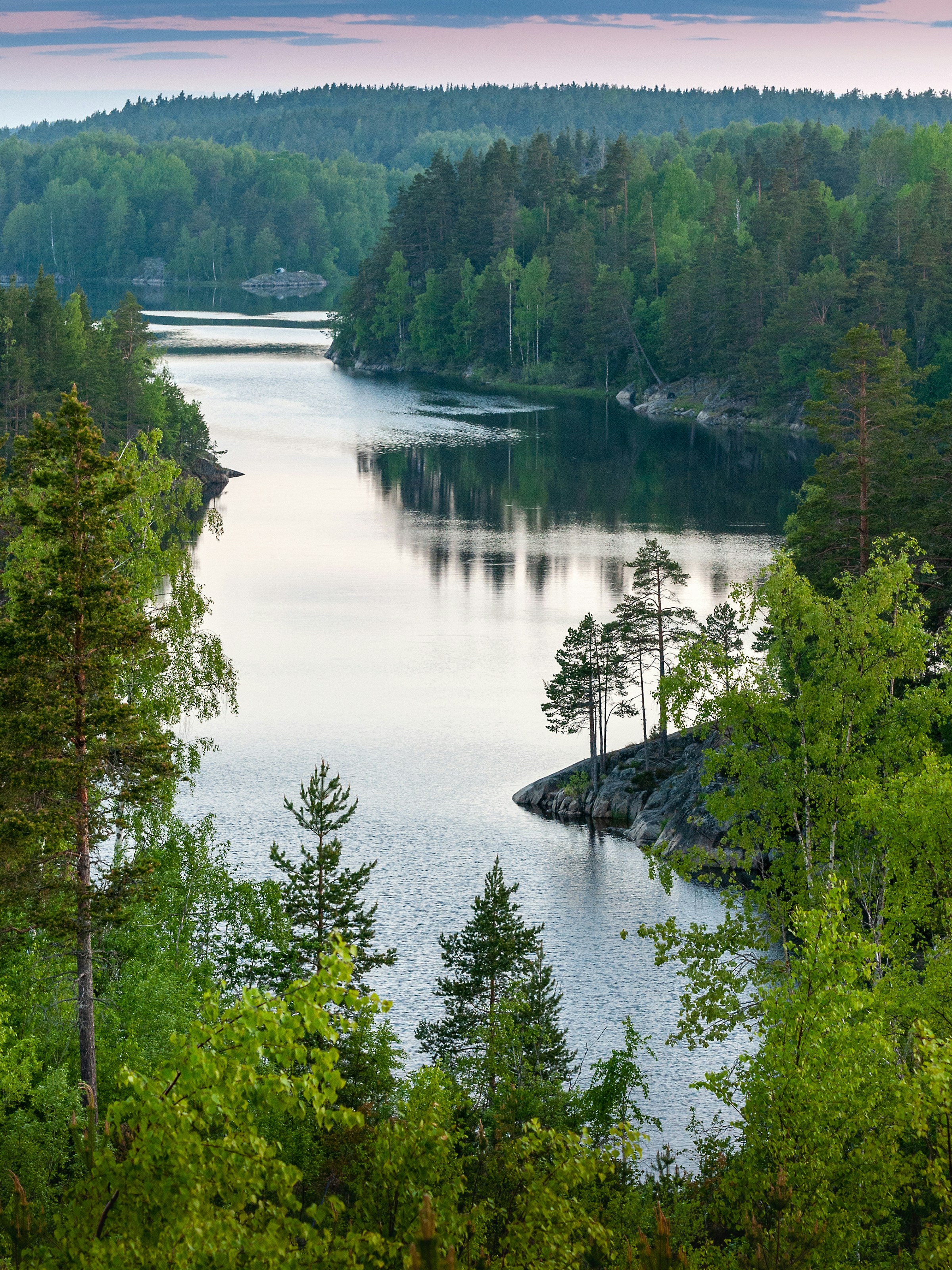a lake surrounded by trees