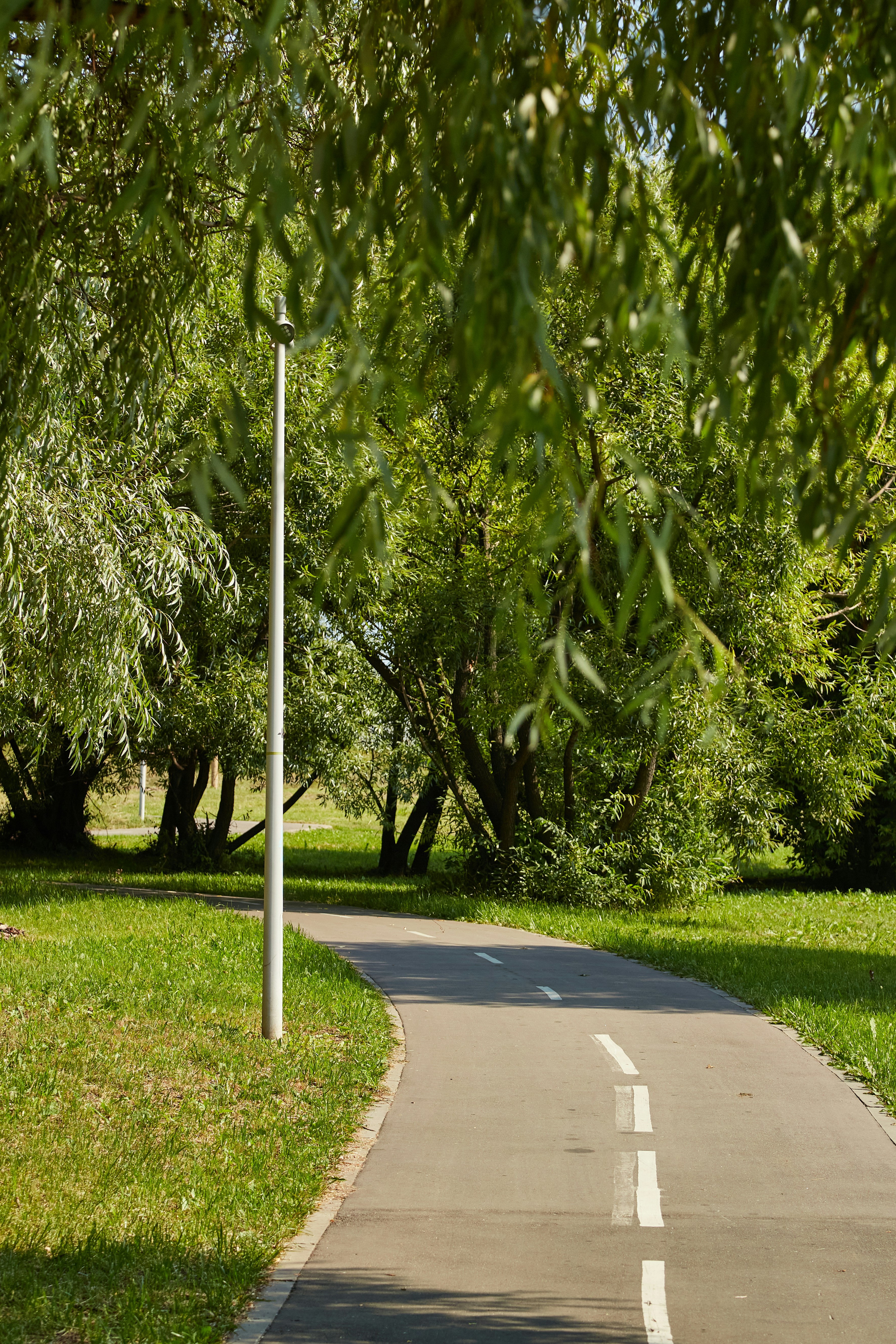 Photo by workman1993