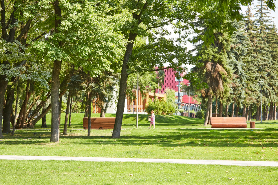 The image depicts a serene park scene with lush green trees and grass, providing a natural backdrop to a red building nestled among them. A solitary figure can be seen walking on a path that cuts through the center of the park. The perspective is from ground level, looking up at the towering trees and the building in the distance.