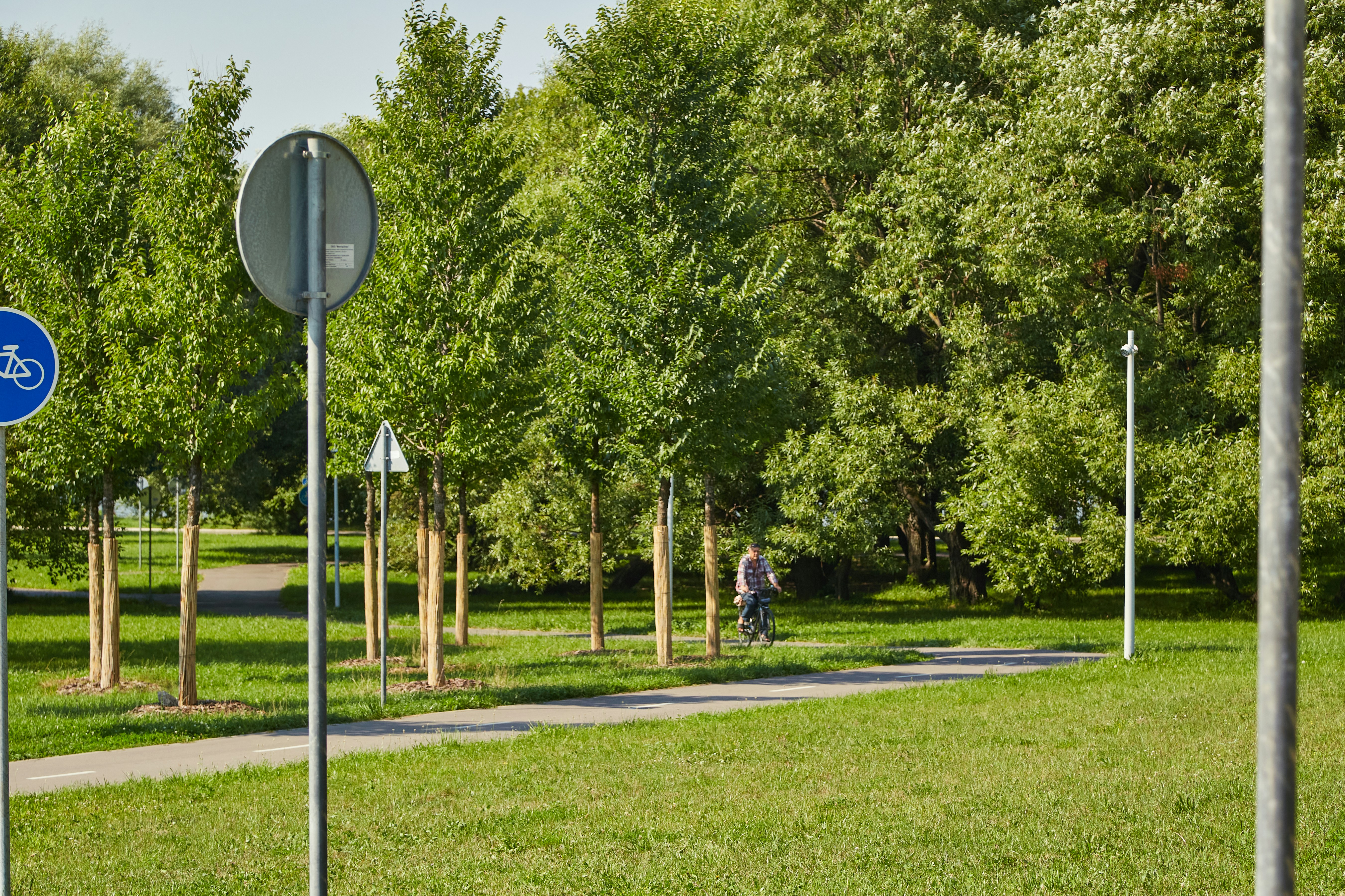 Photo by workman1993