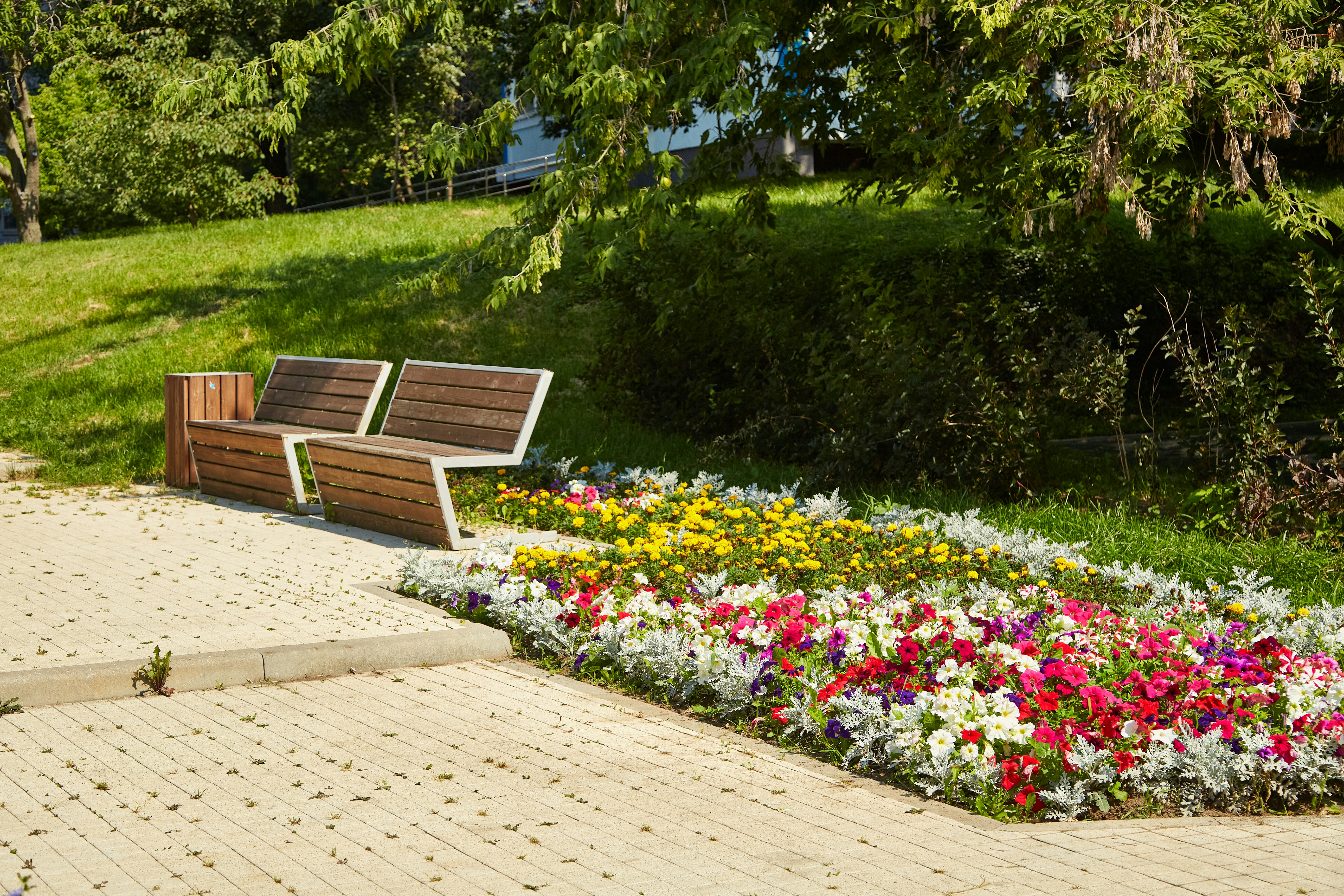 Photo by workman1993