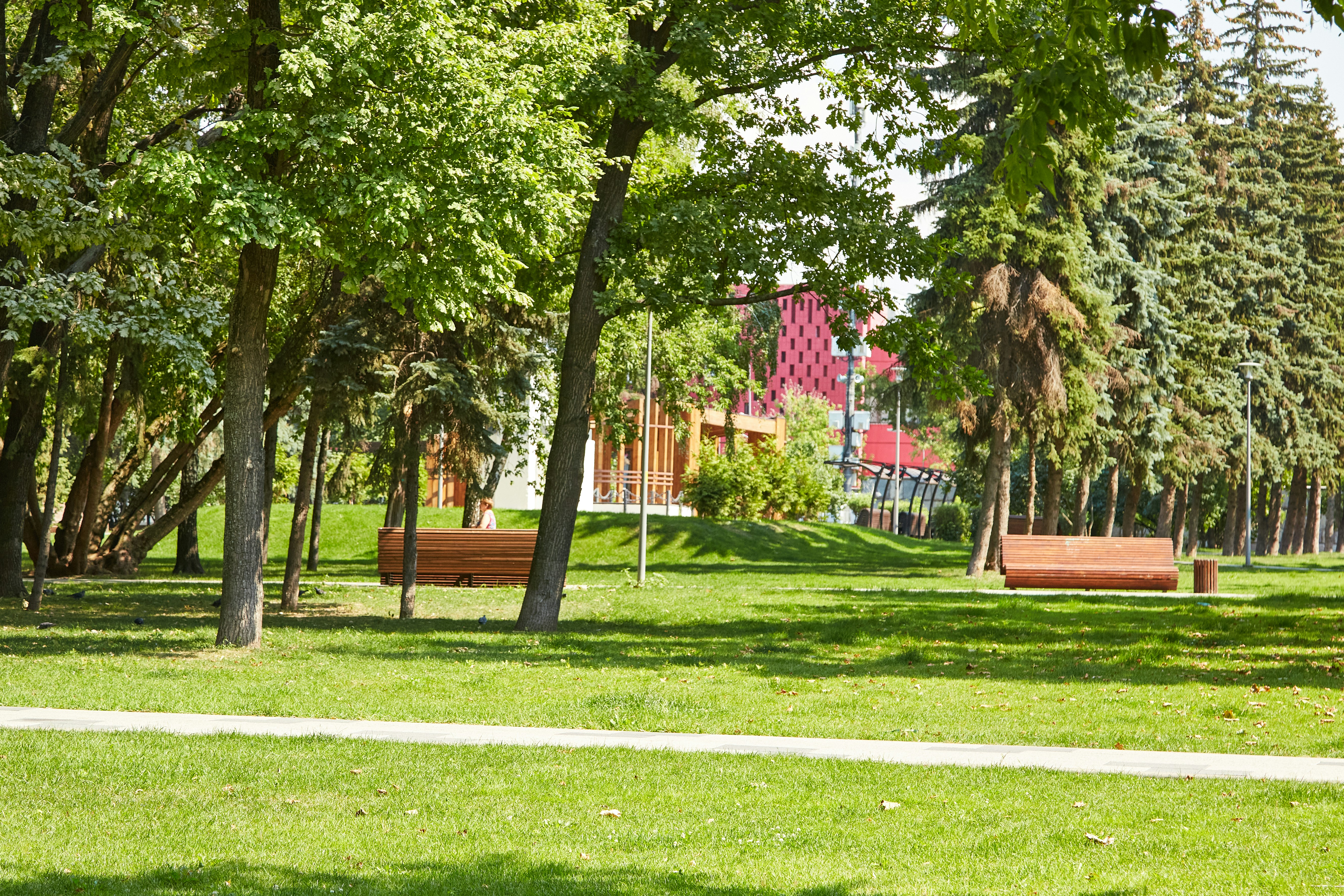 Photo by workman1993