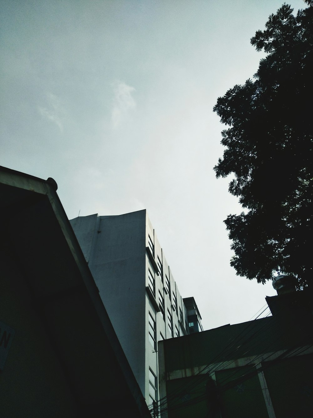 a building with a tree in the background