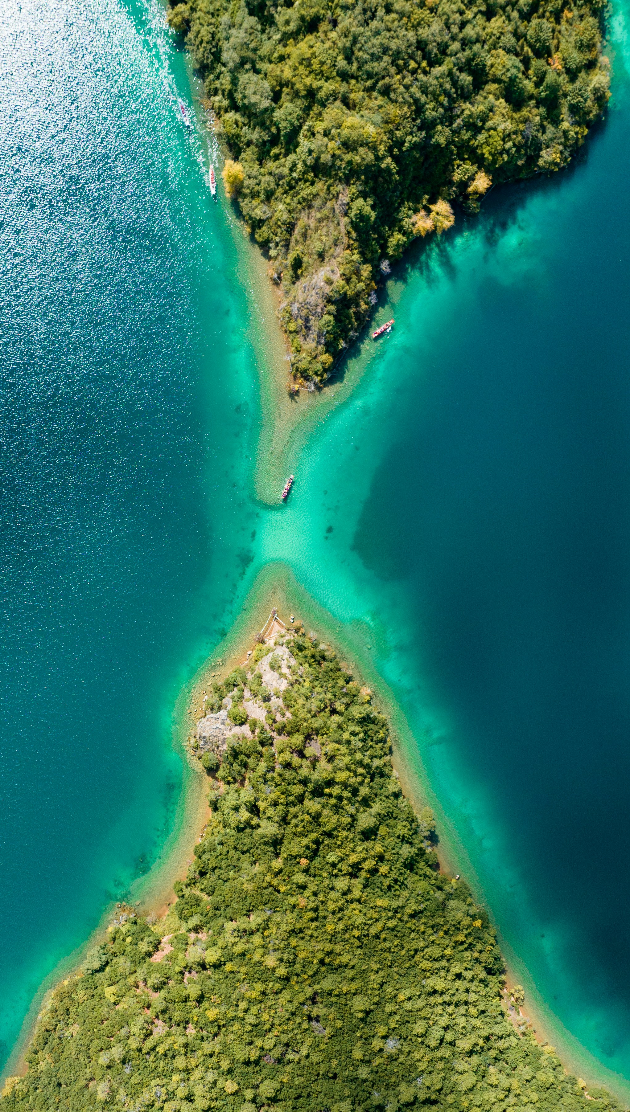 Photo by juniperphoton