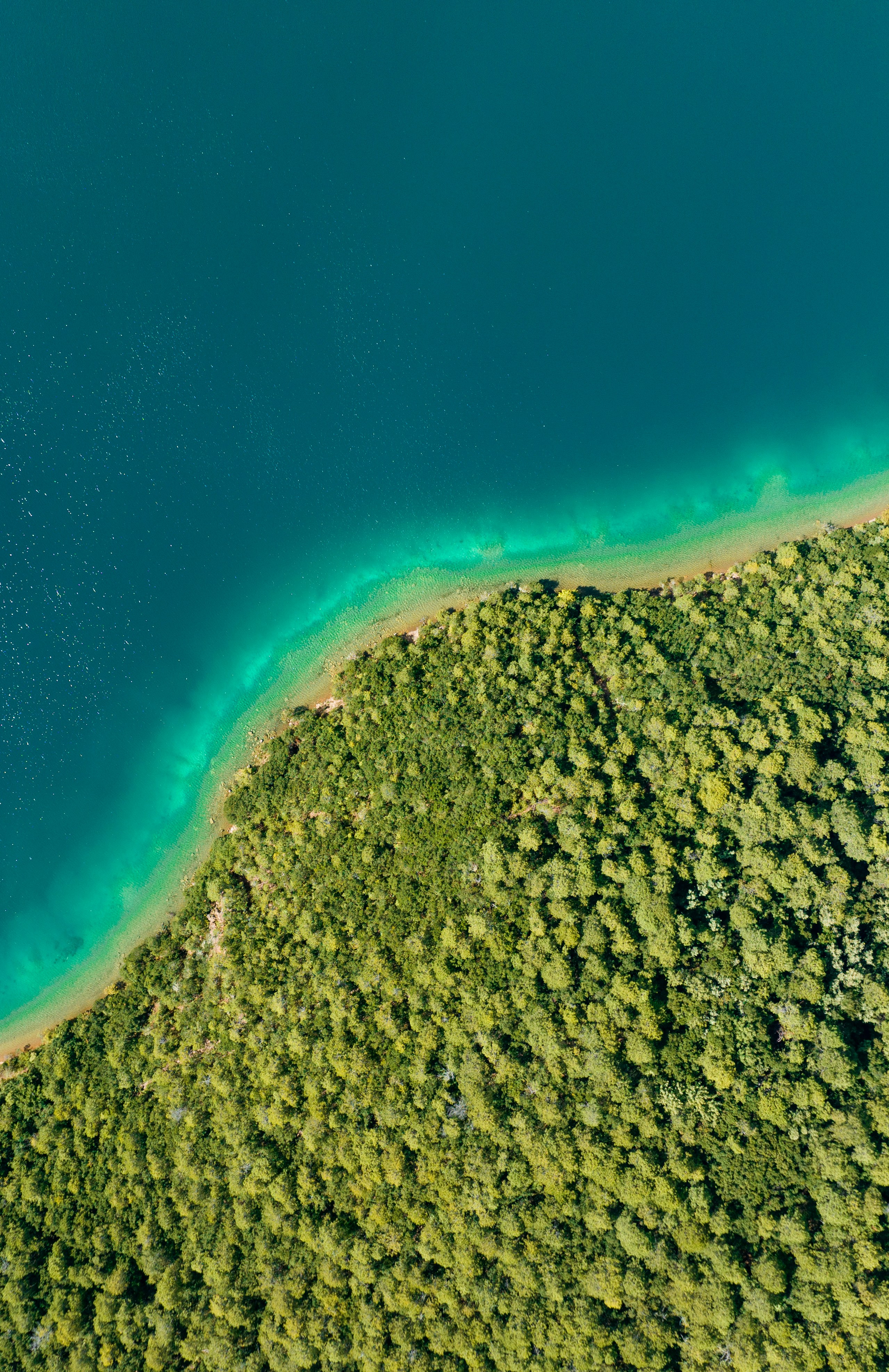 Photo by juniperphoton