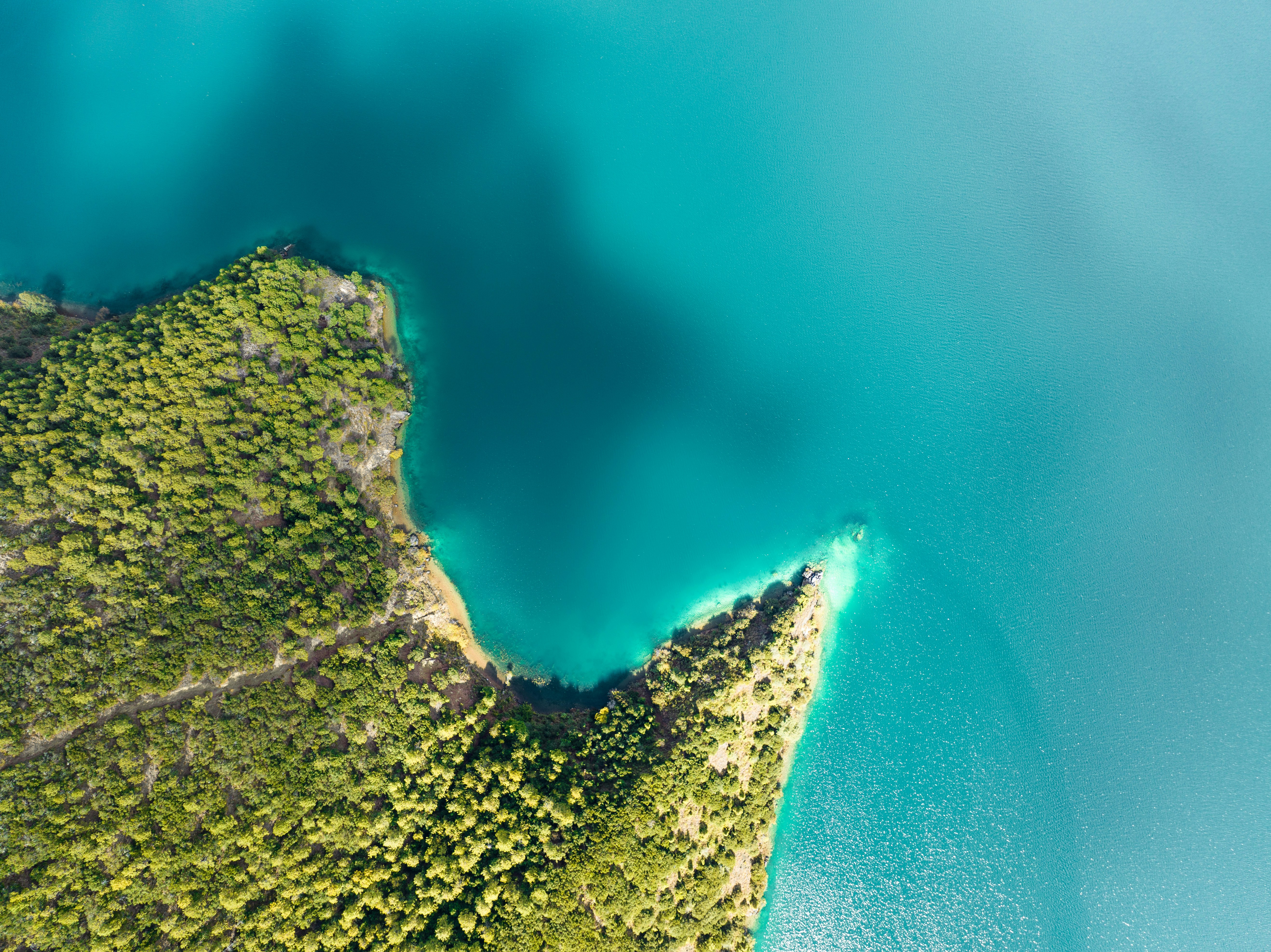 Photo by juniperphoton