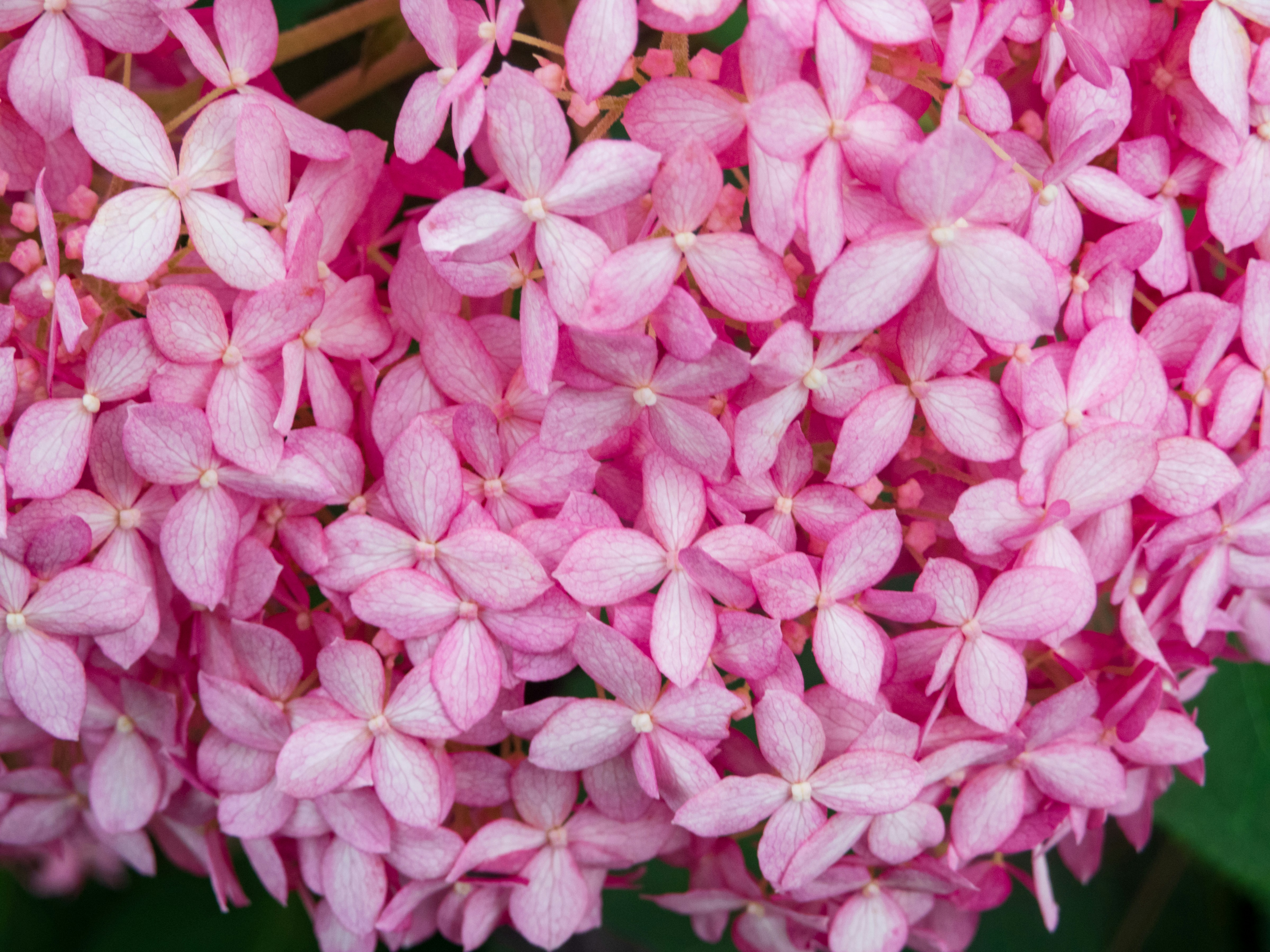 Photo by heppoko_yama