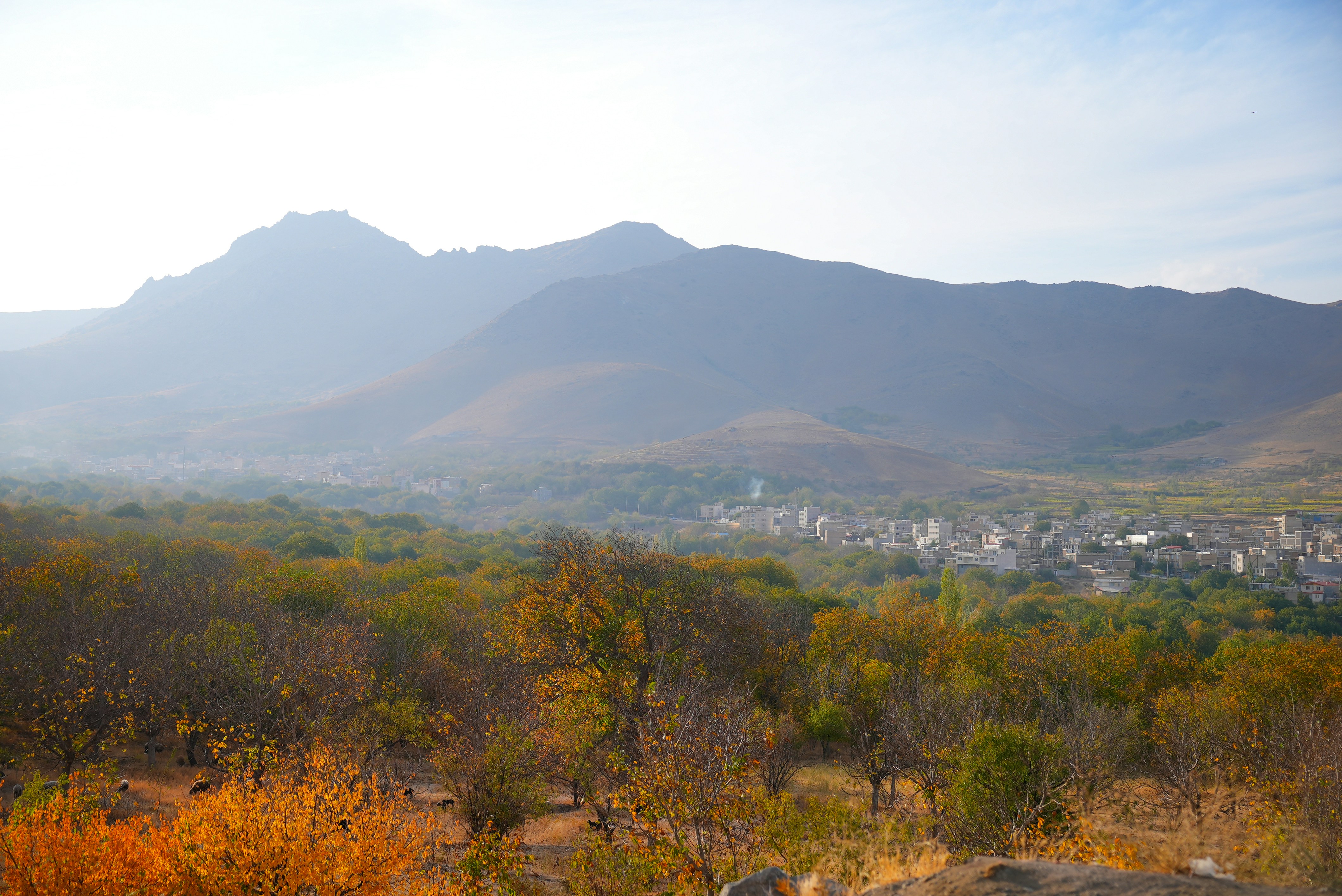 Photo by rafieeartist