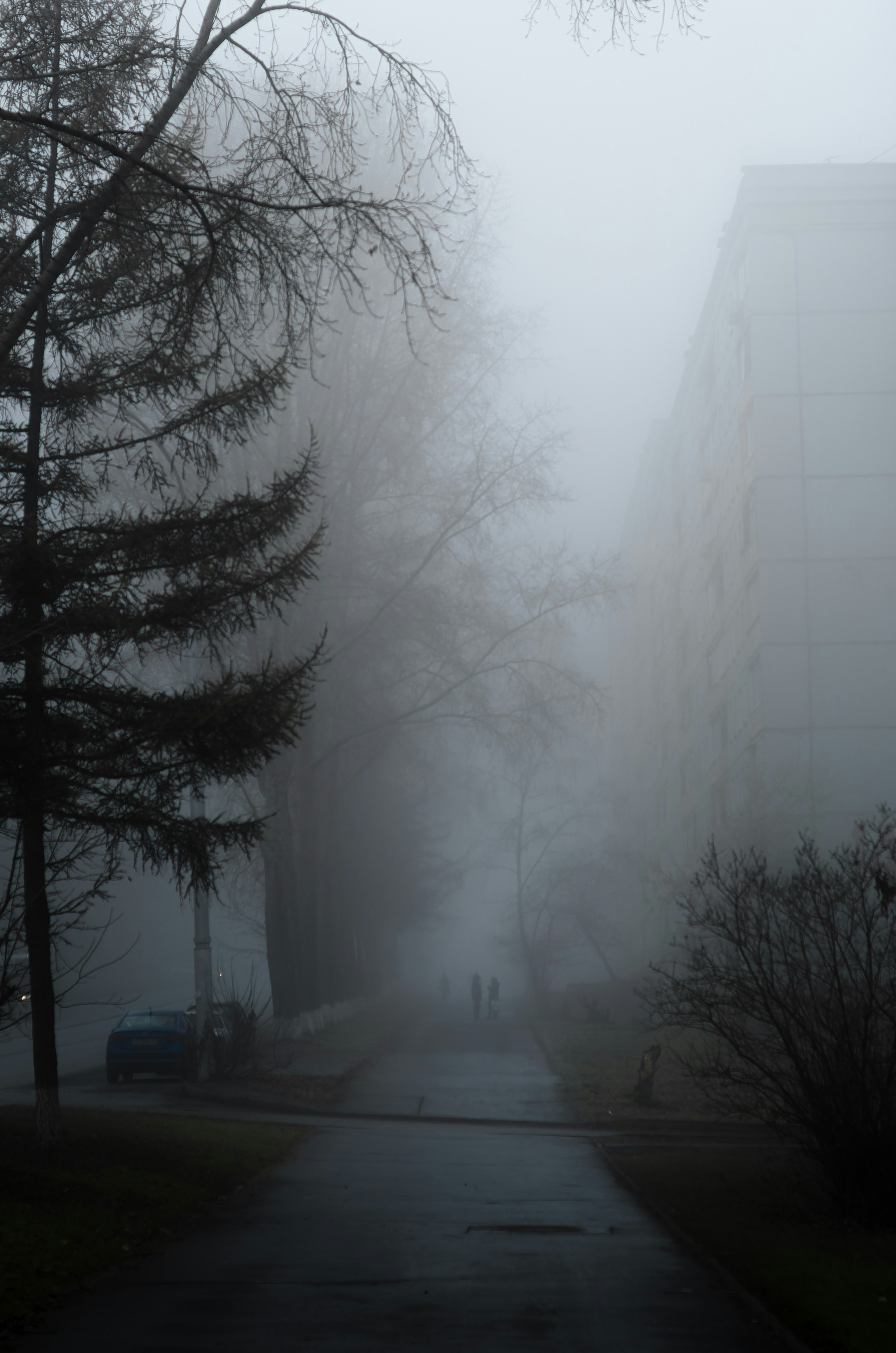 Photo by litvinov