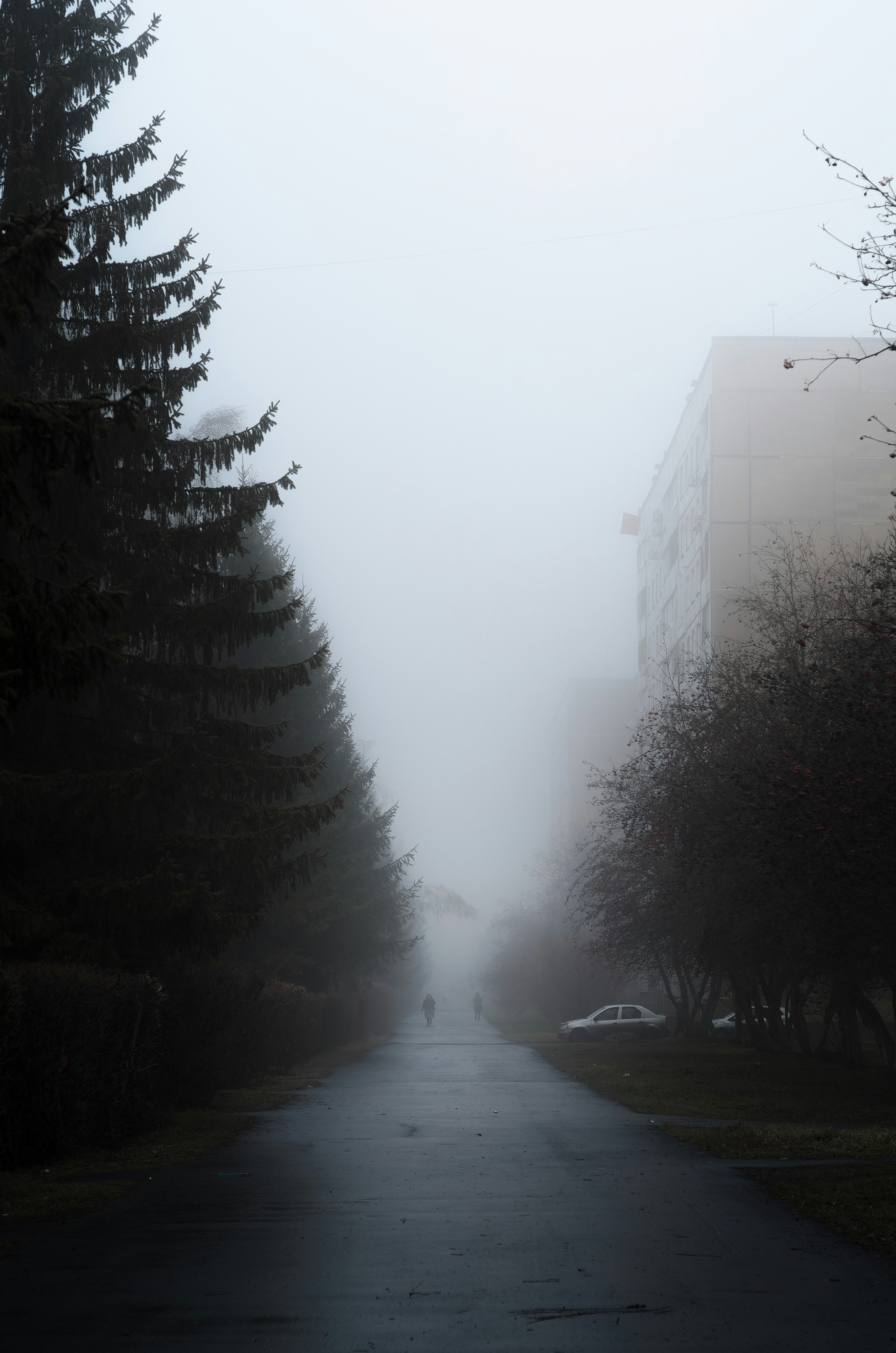 Photo by litvinov