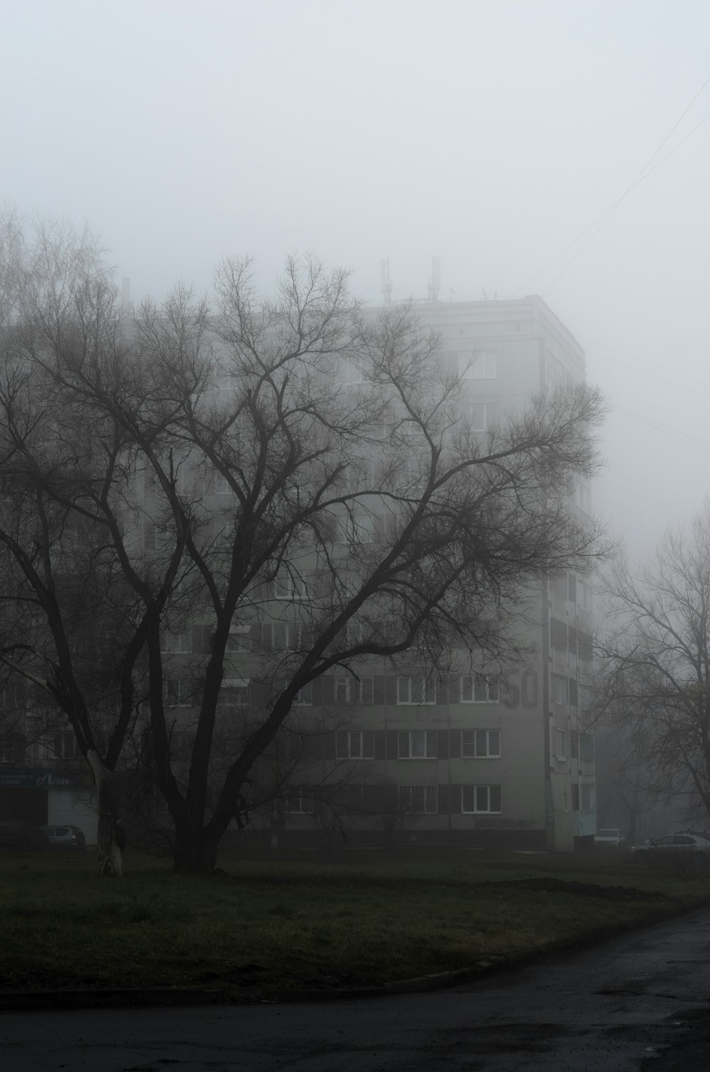 a building with trees in front of it