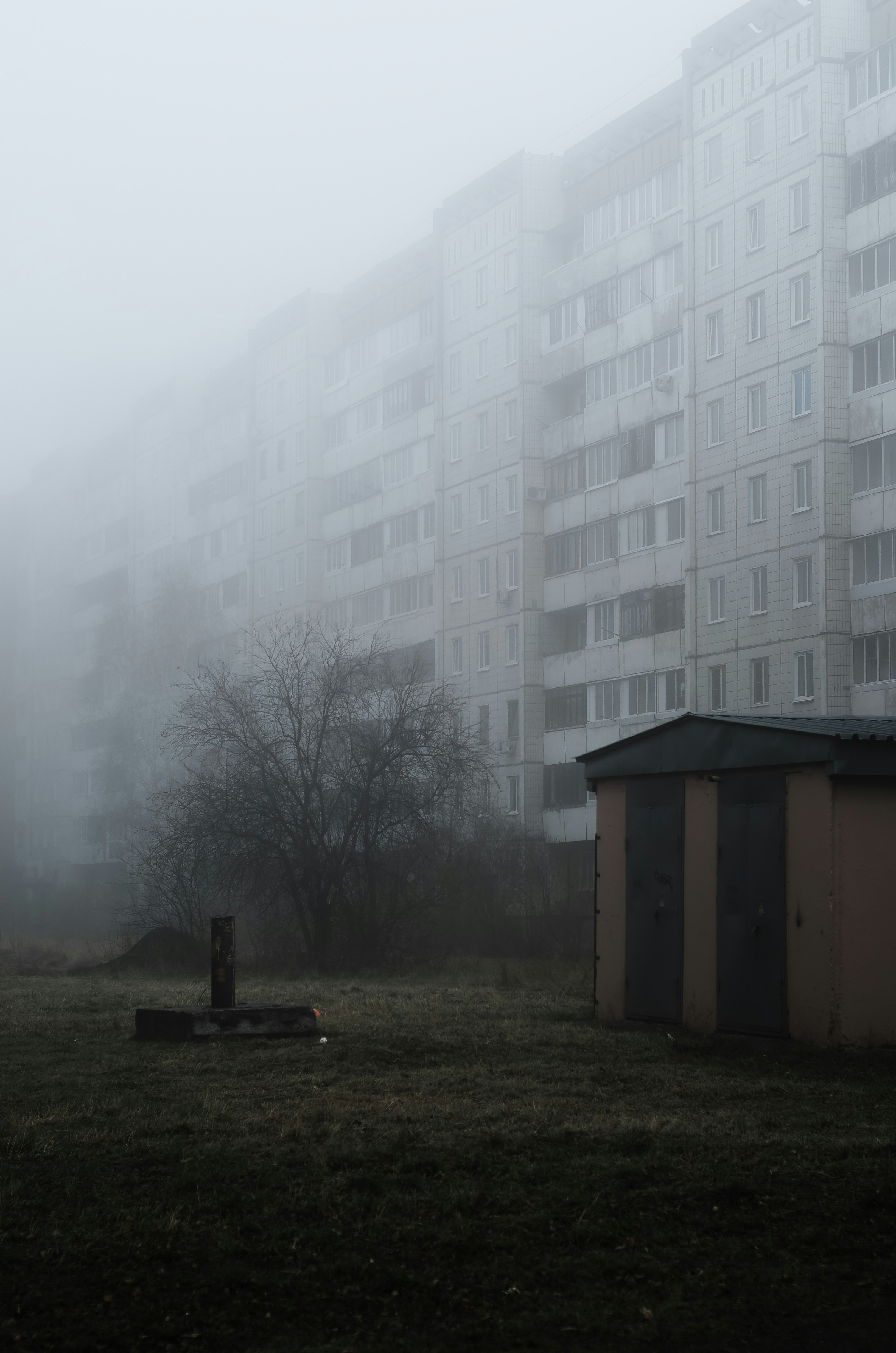 Photo by litvinov