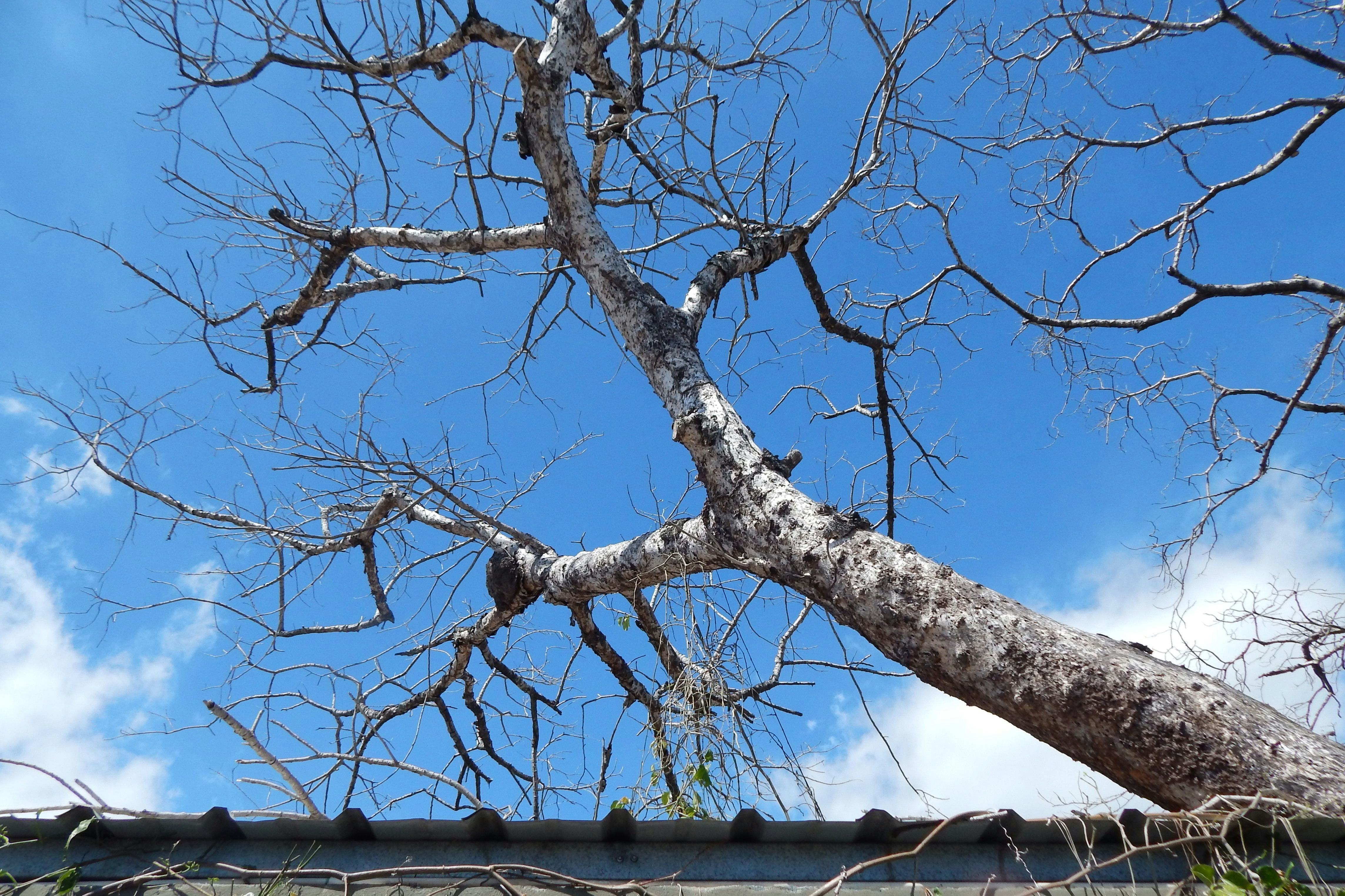 Photo by amartinezmarquez