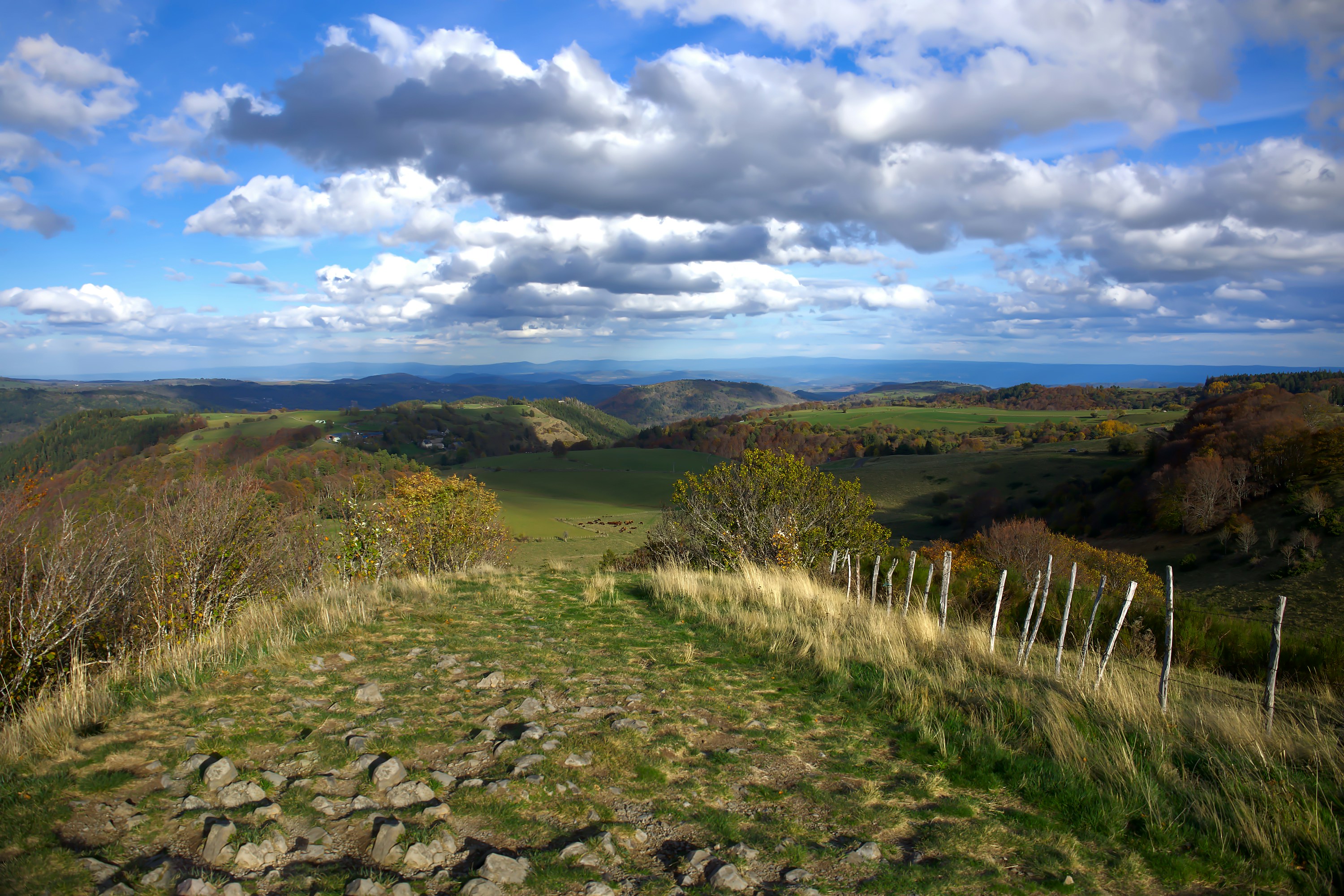 Un paysage avec des collines et des arbres photo – Image gratuite de ...