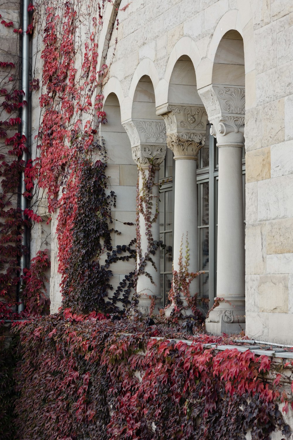 a building with pillars and plants