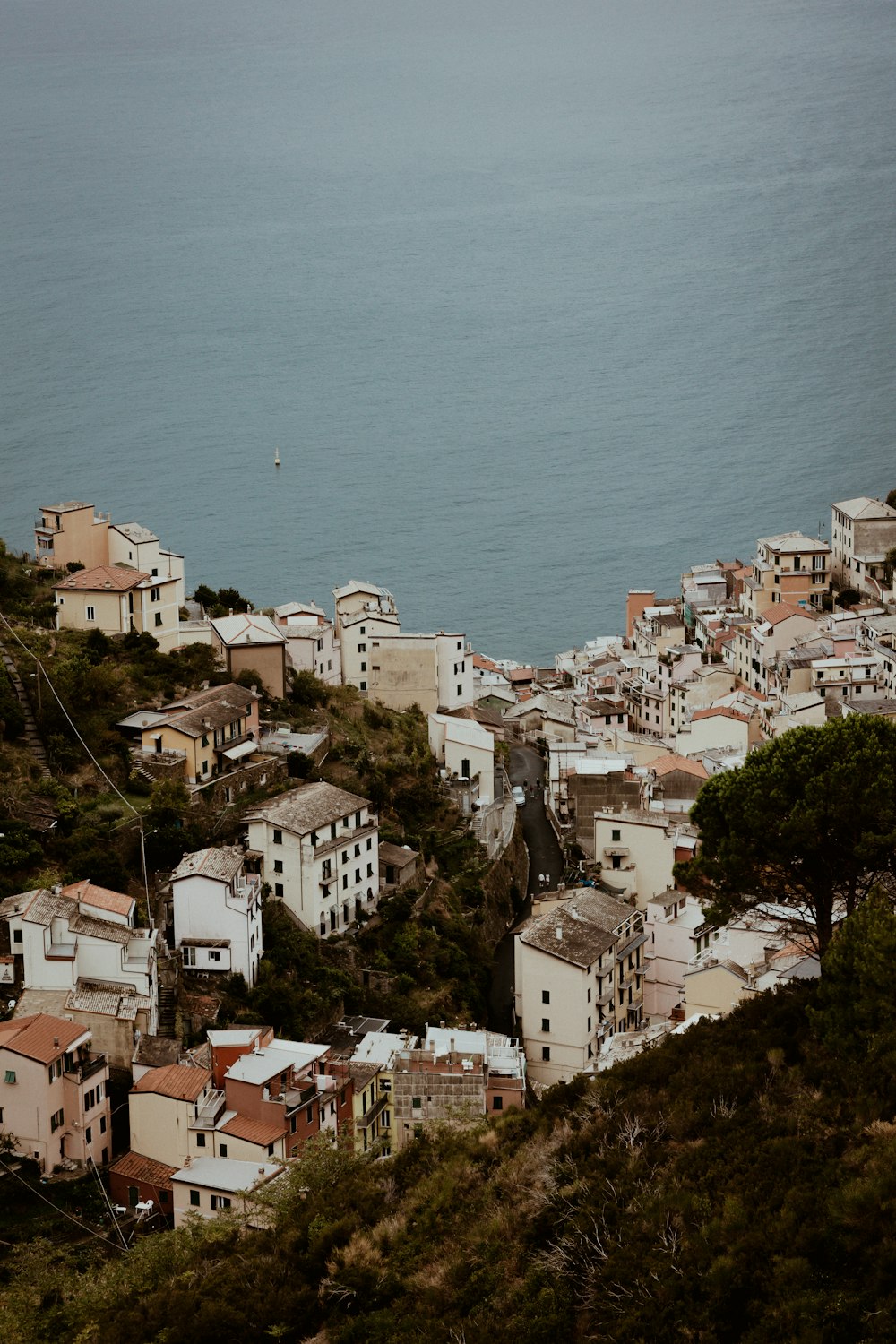 a city with many buildings by the water