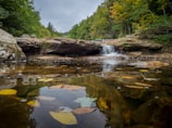 A tranquil scene featuring a small waterfall cascading over rocks into a calm, reflective pool. The area is surrounded by dense, green foliage turning to autumn colors, indicating a peaceful, natural environment.