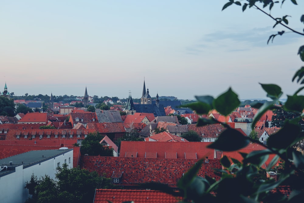 a city with many rooftops