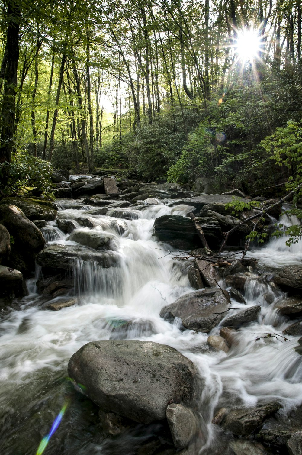 a river with rocks and trees