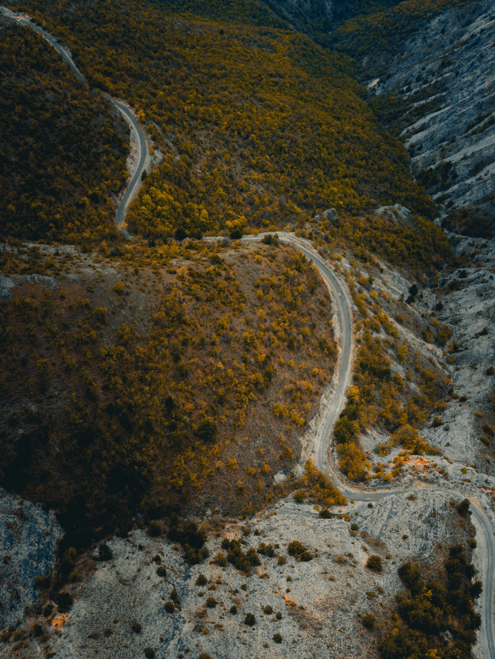 a road in the mountains