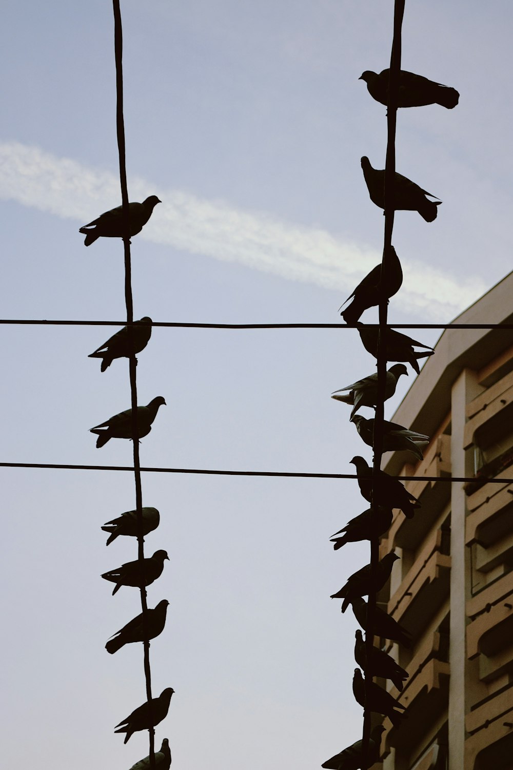 a group of shoes from a wire