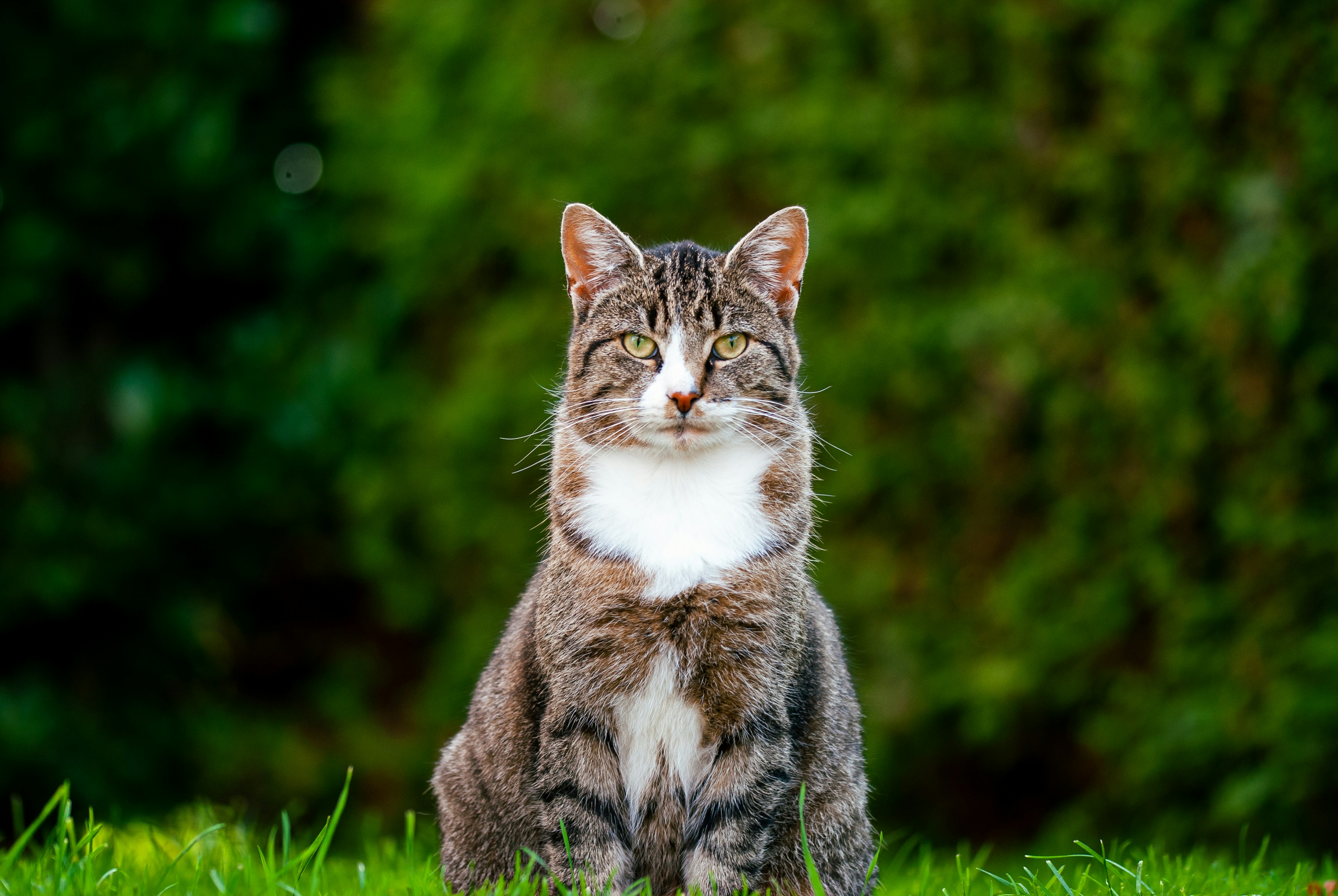 Photo by jorienloman