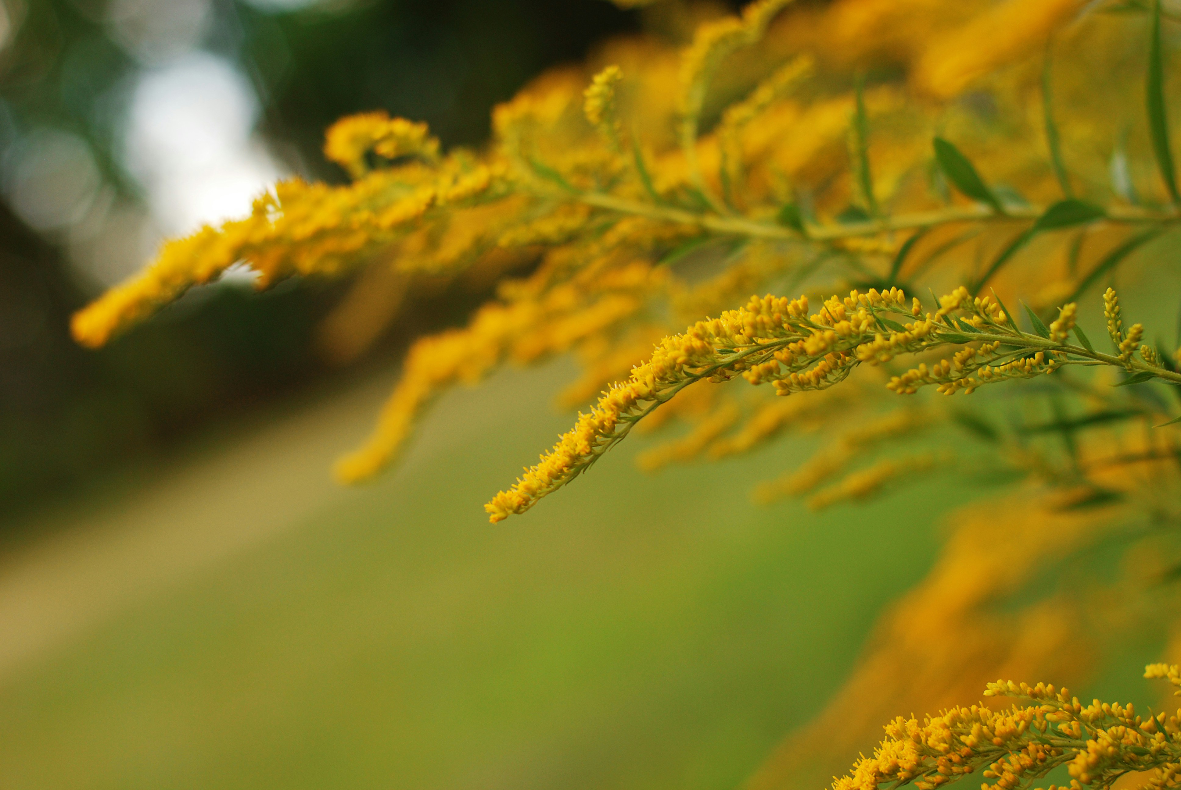 Photo by kovalskihelga