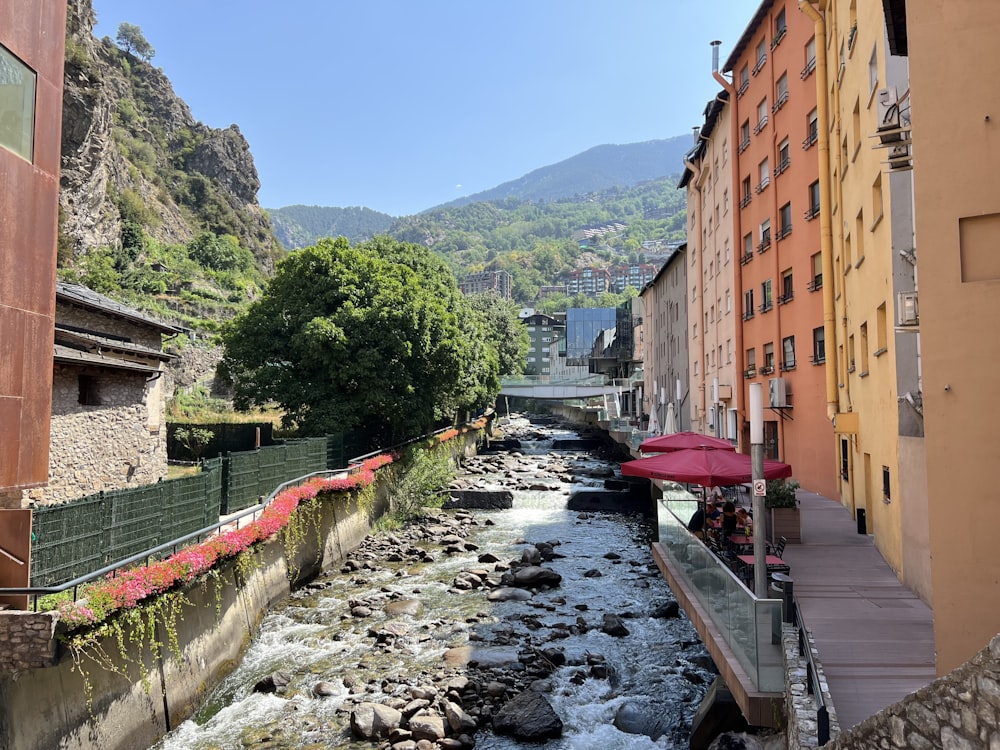 a river running through a city