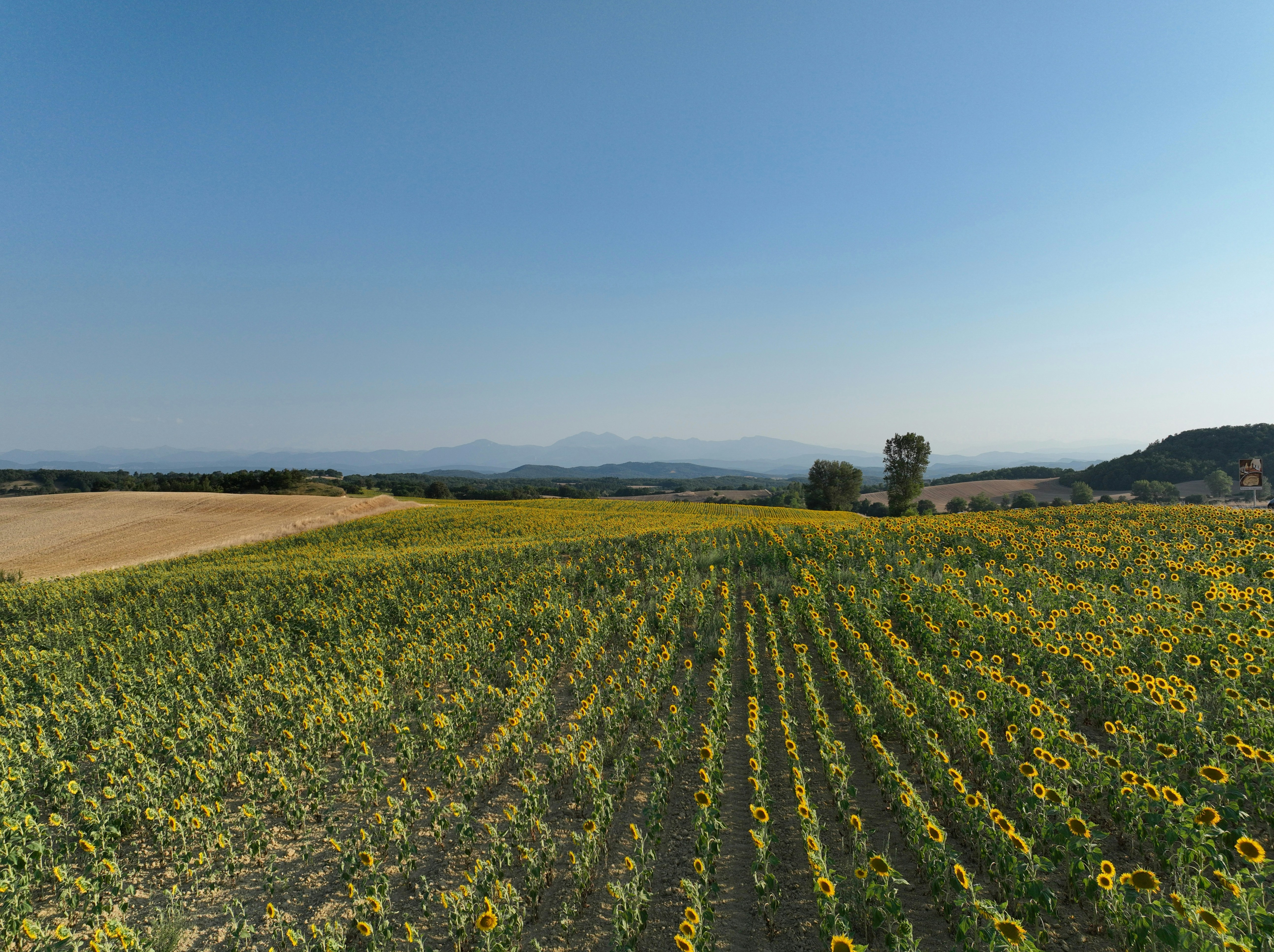 Photo by datingscout