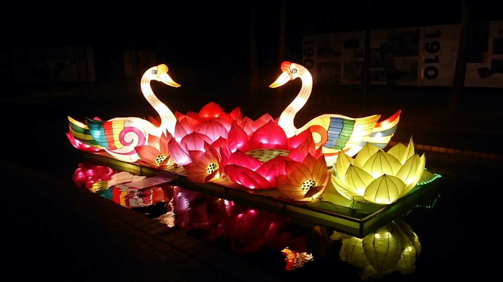 Un groupe d’oiseaux sur une table