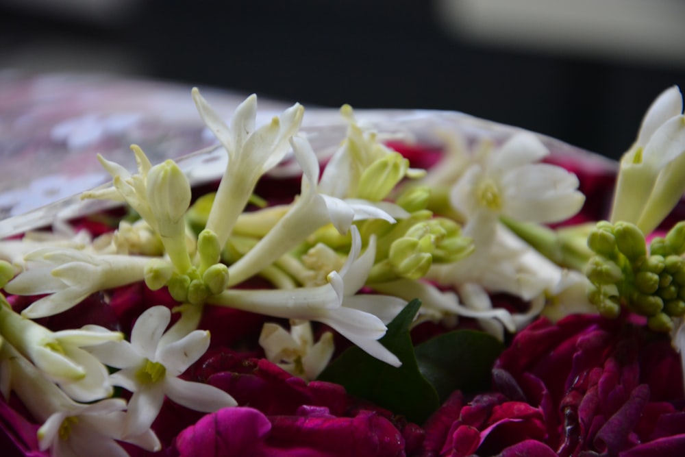 a close up of some flowers