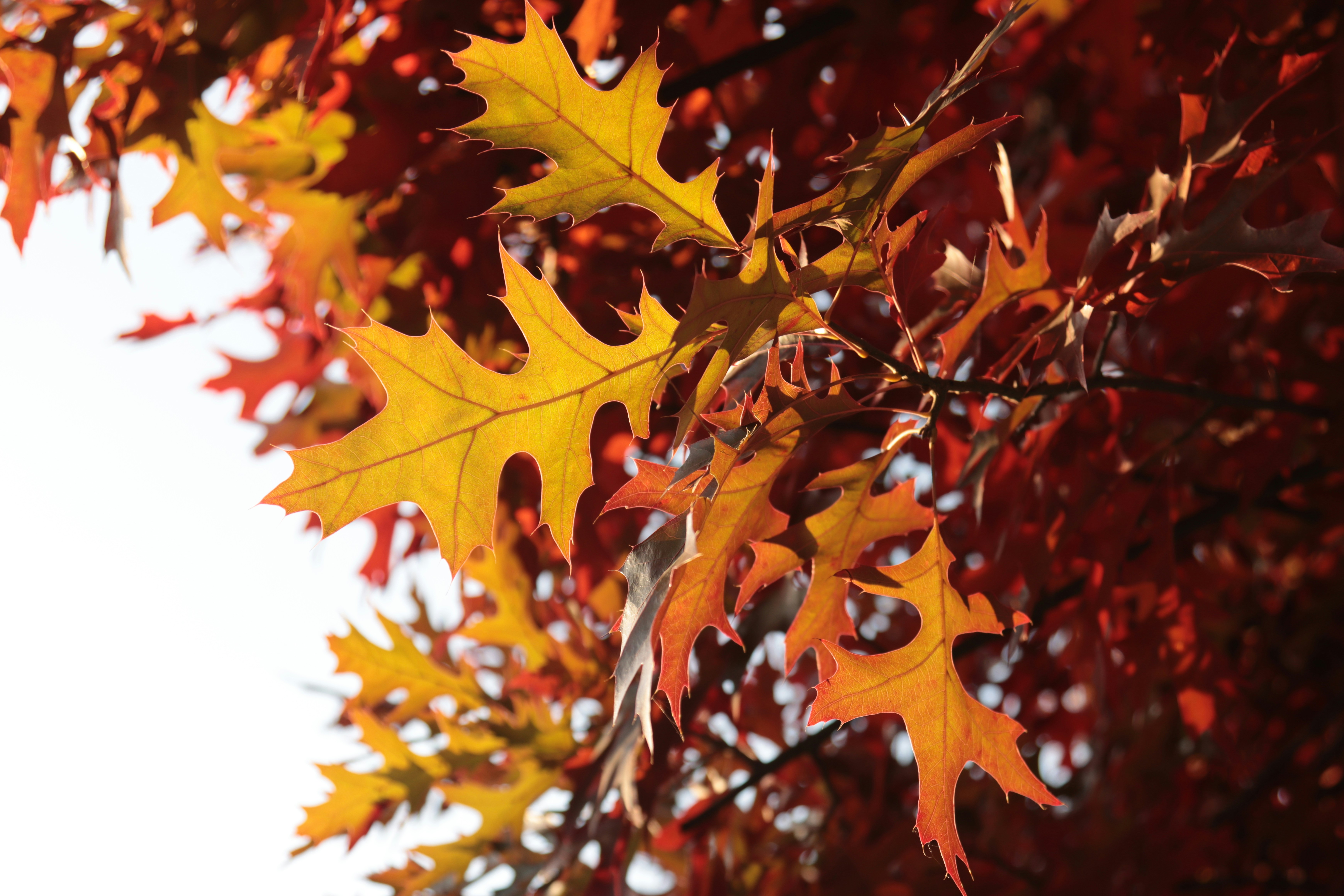 Photo by corinabianca