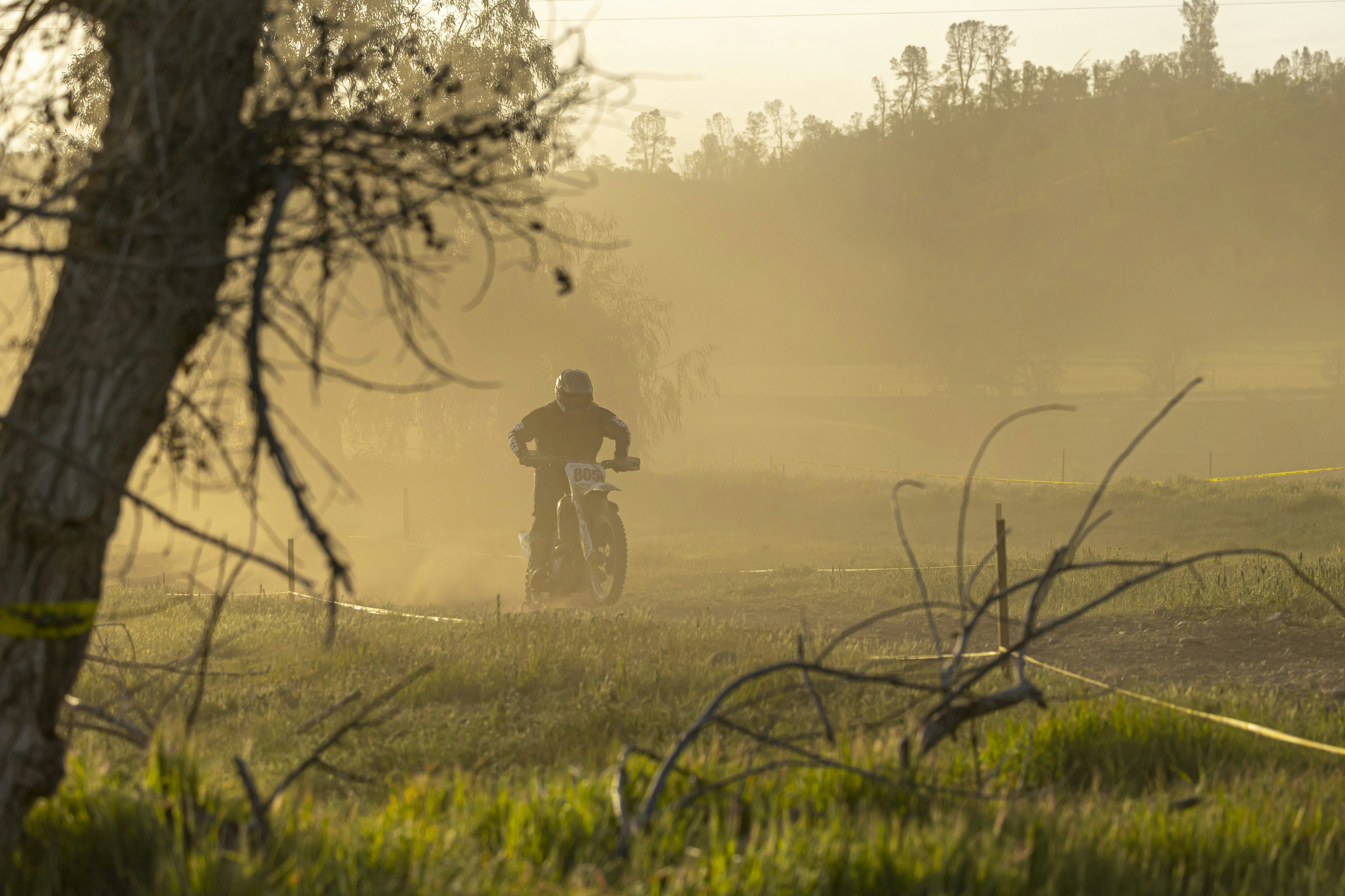 Photo by leo_visions_