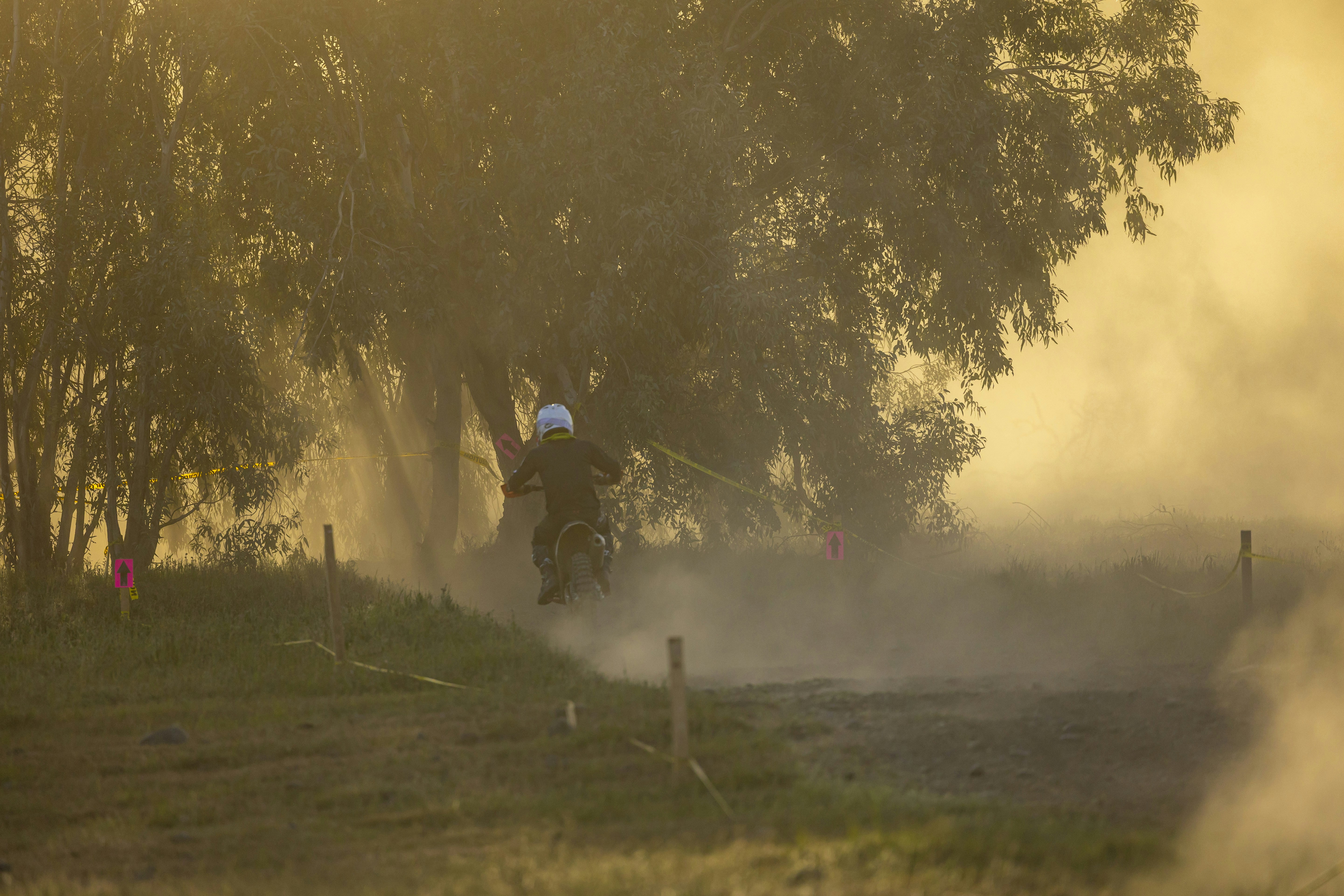 Photo by leo_visions_