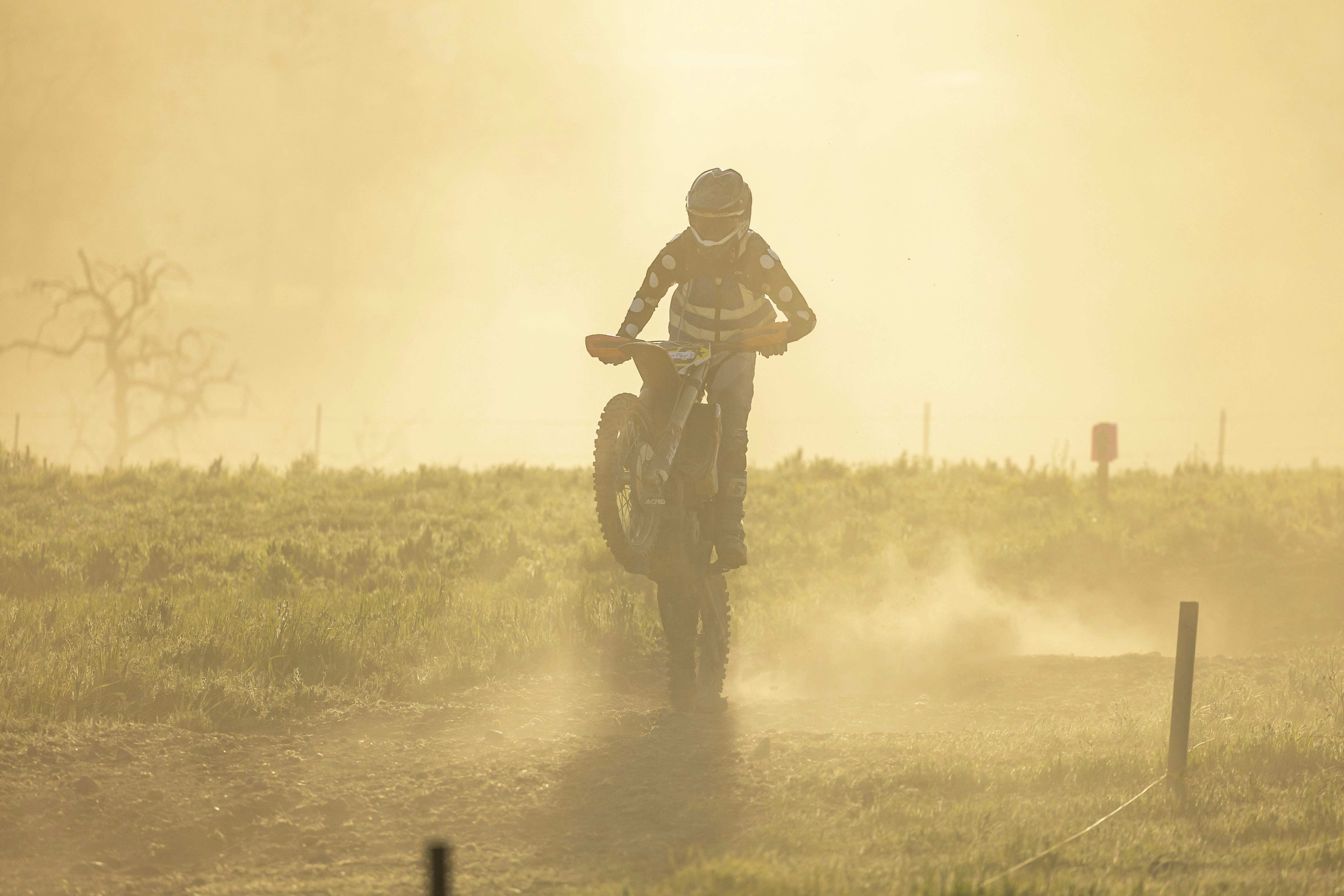 Photo by leo_visions_