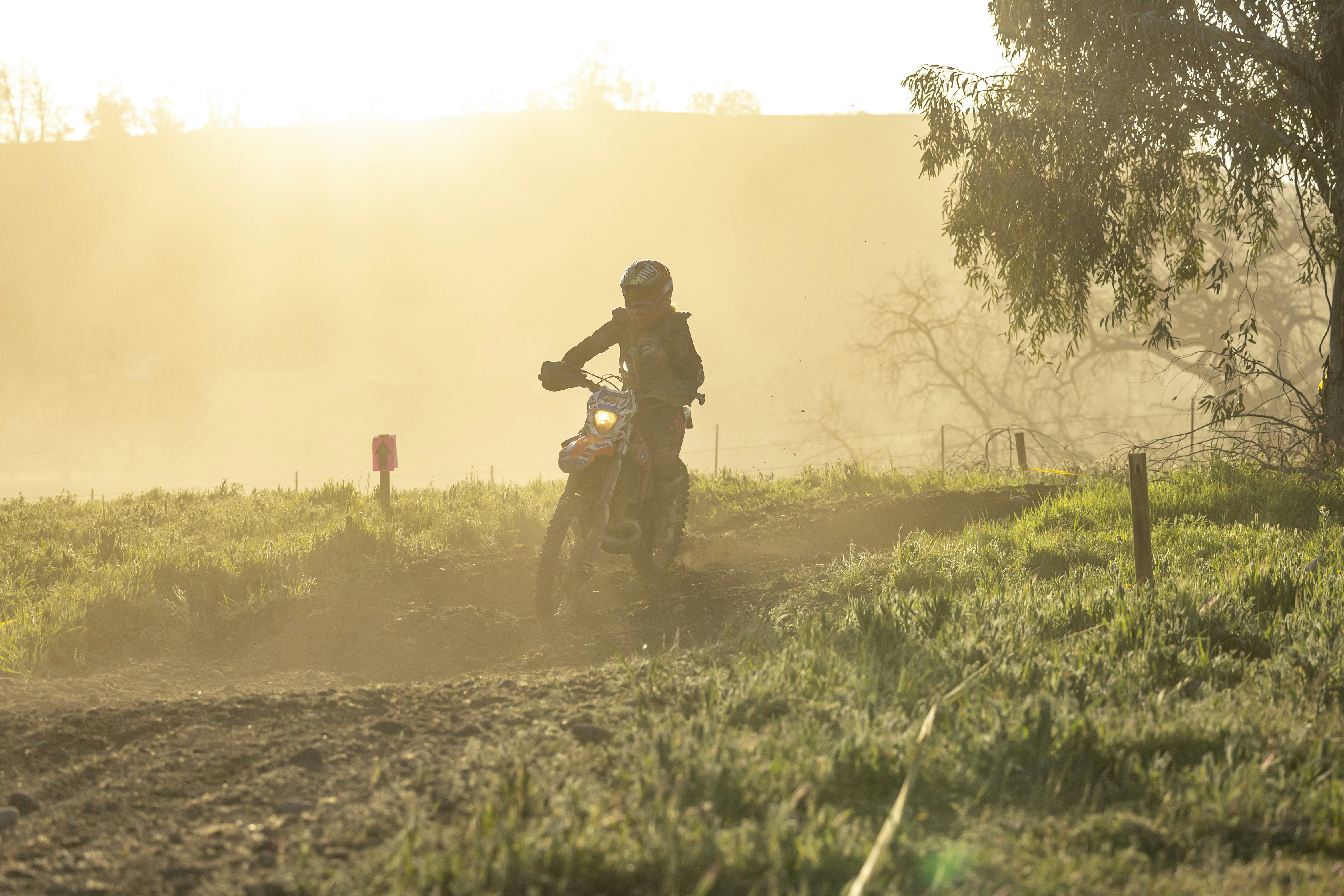 Photo by leo_visions_