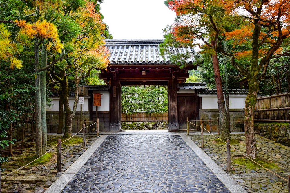 a walkway leading to a building