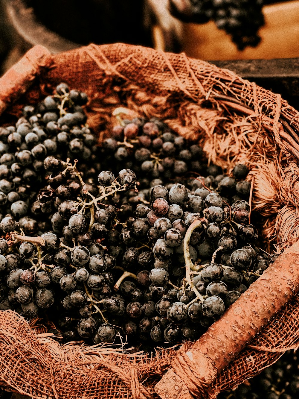 a close up of a bag of blackberries