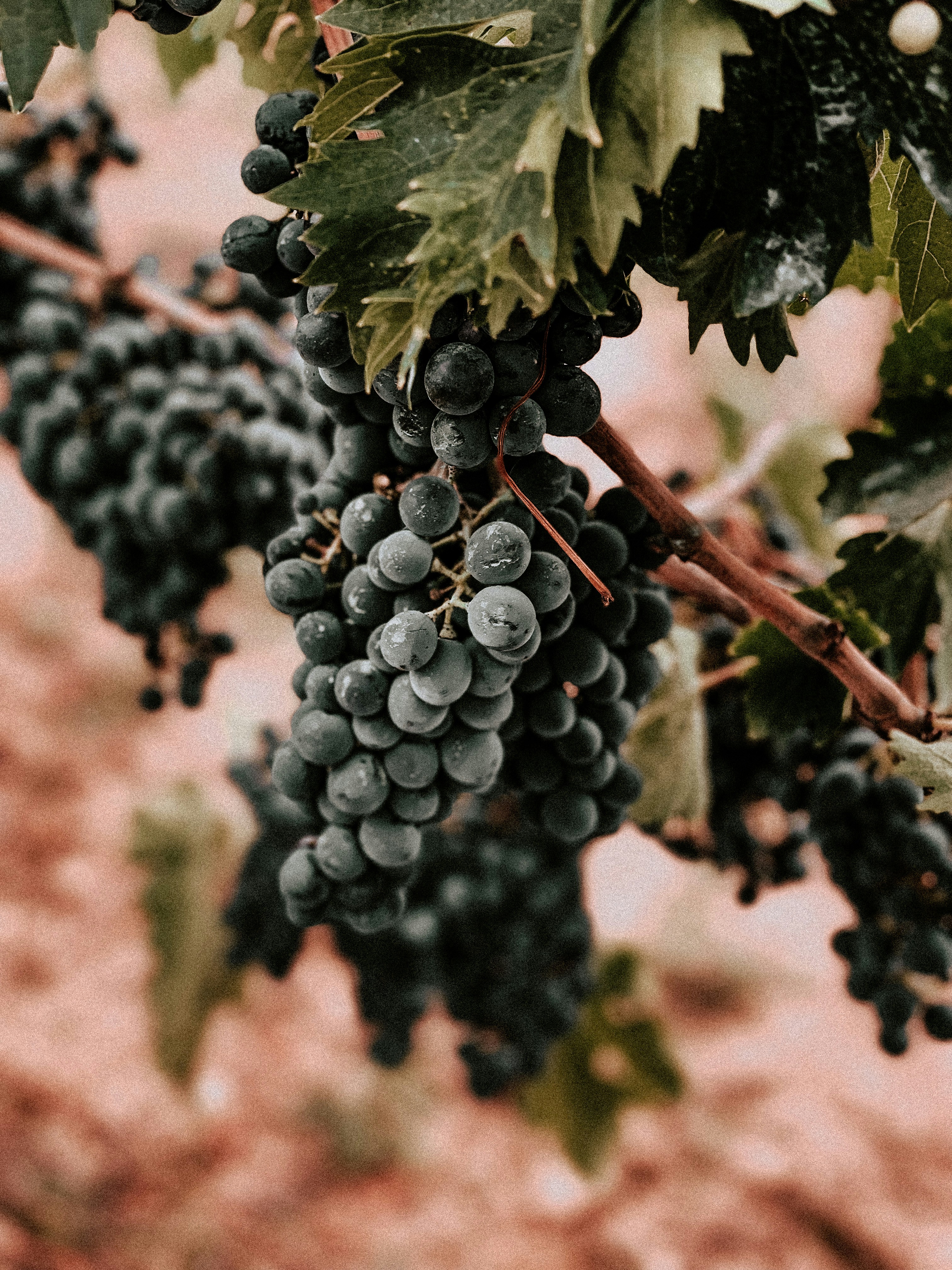 Photo by ldphotozone