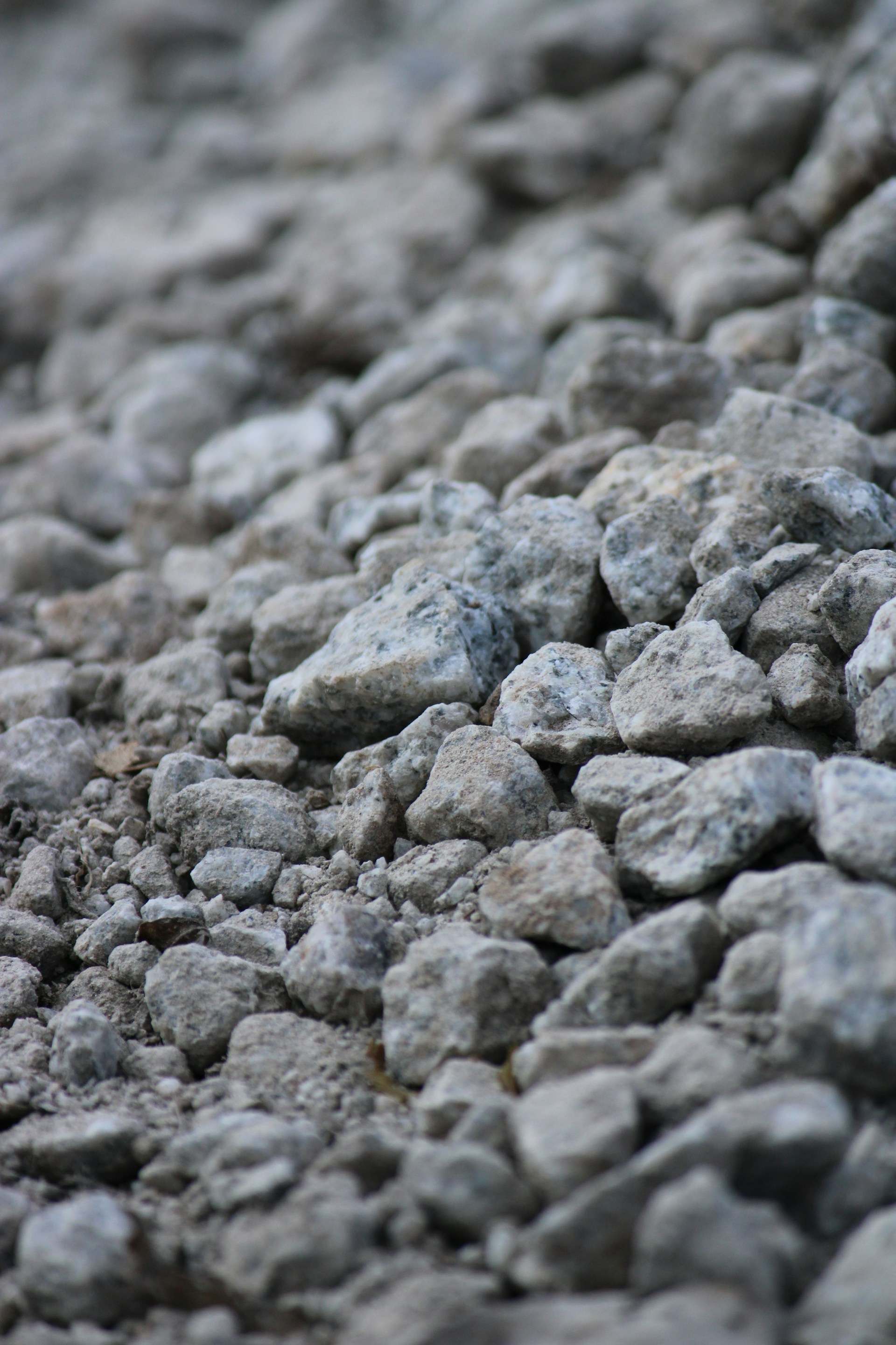 a close-up of some rocks