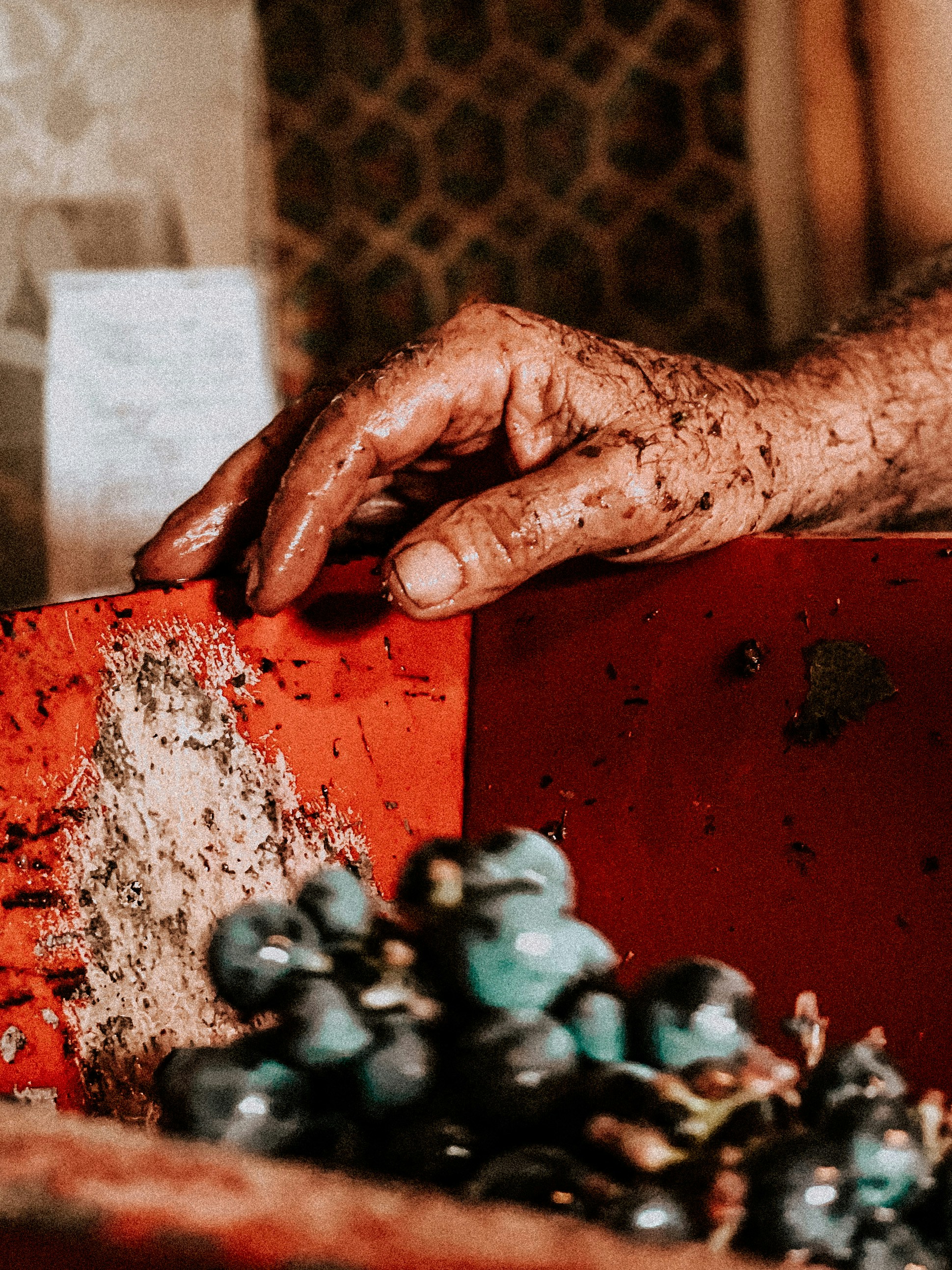 Photo by ldphotozone