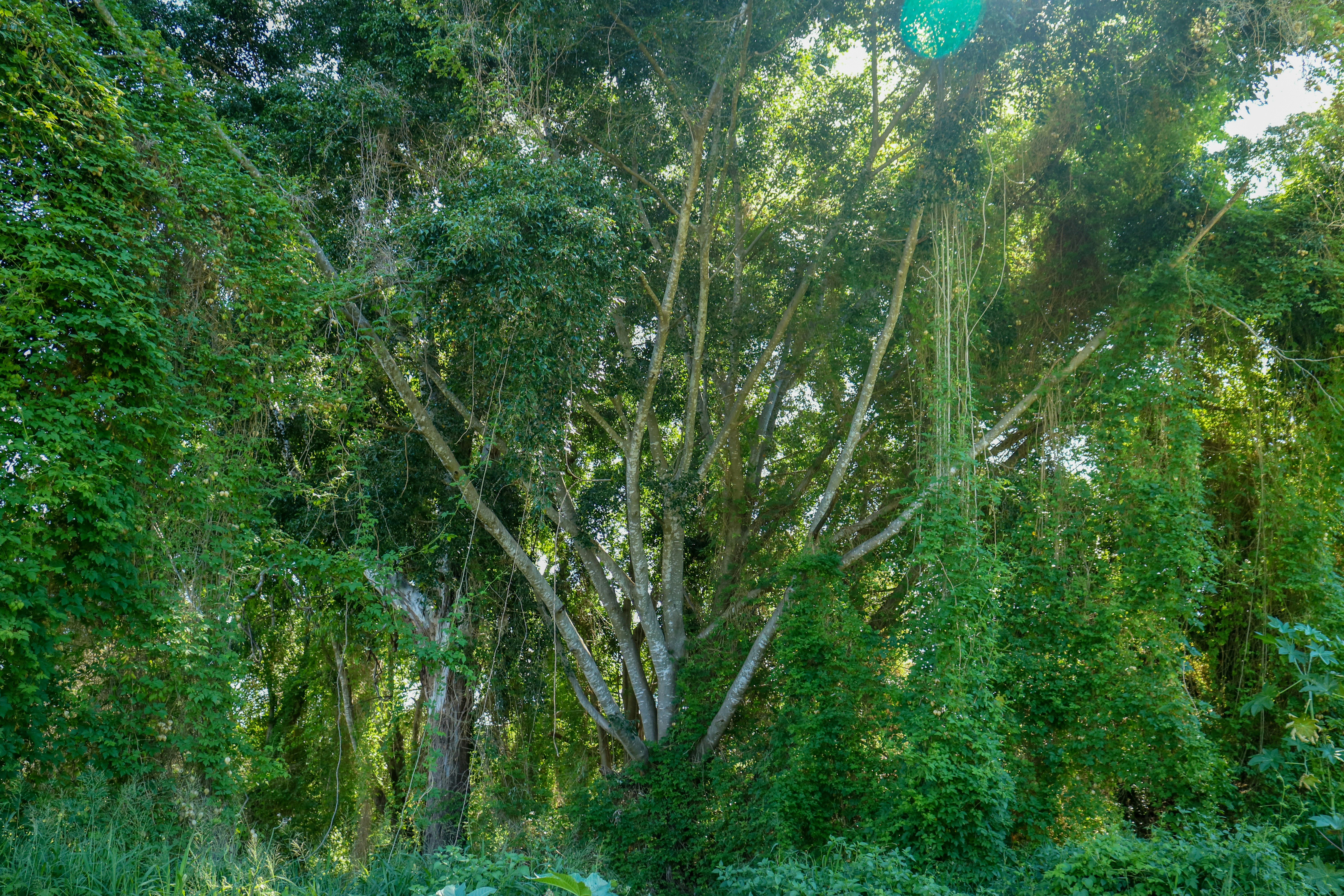 Photo by doublednine