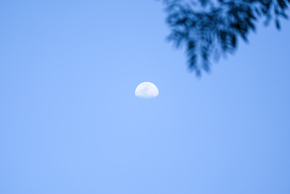 a moon in the sky