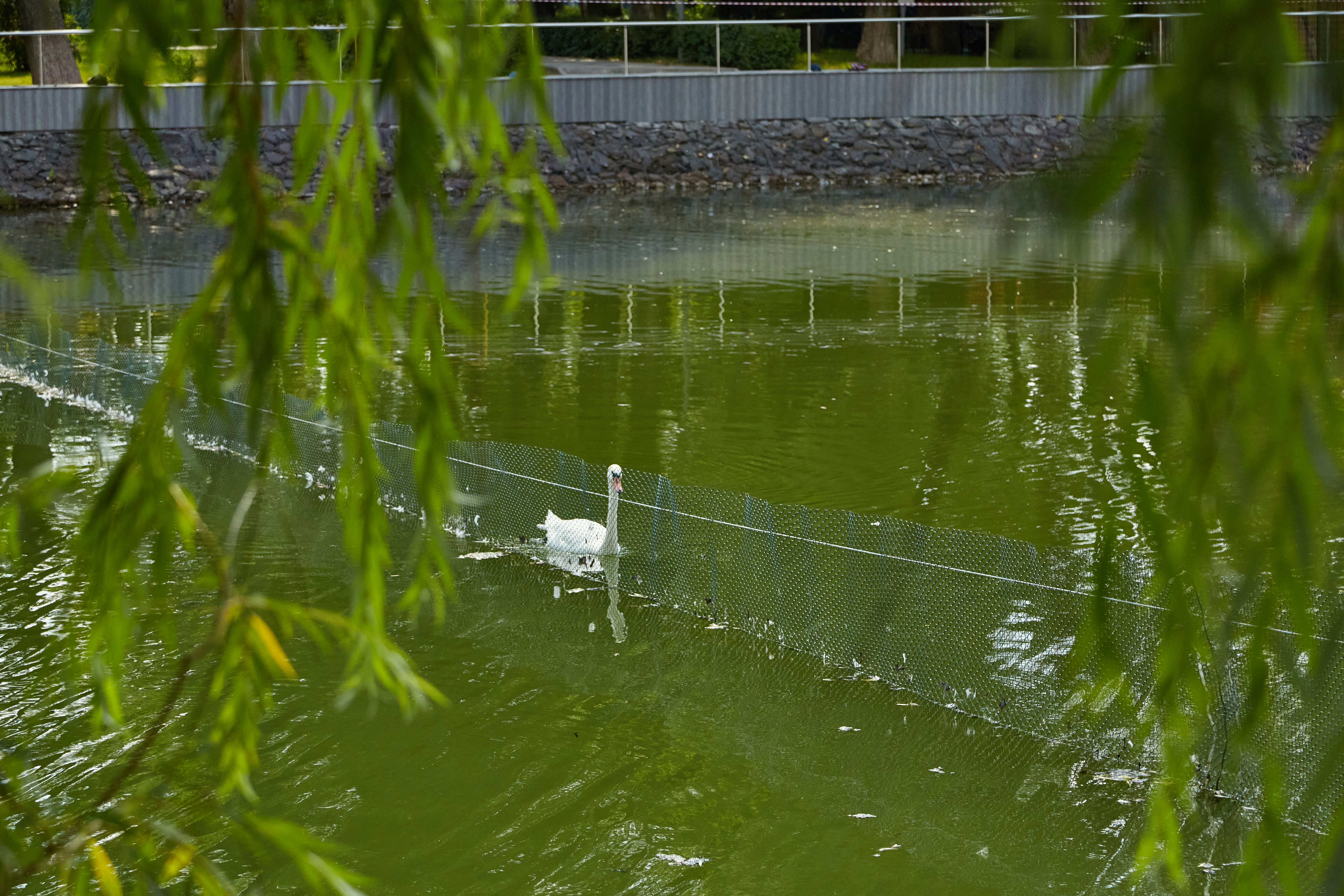 Display of eco-friendly pool chemicals with green labels