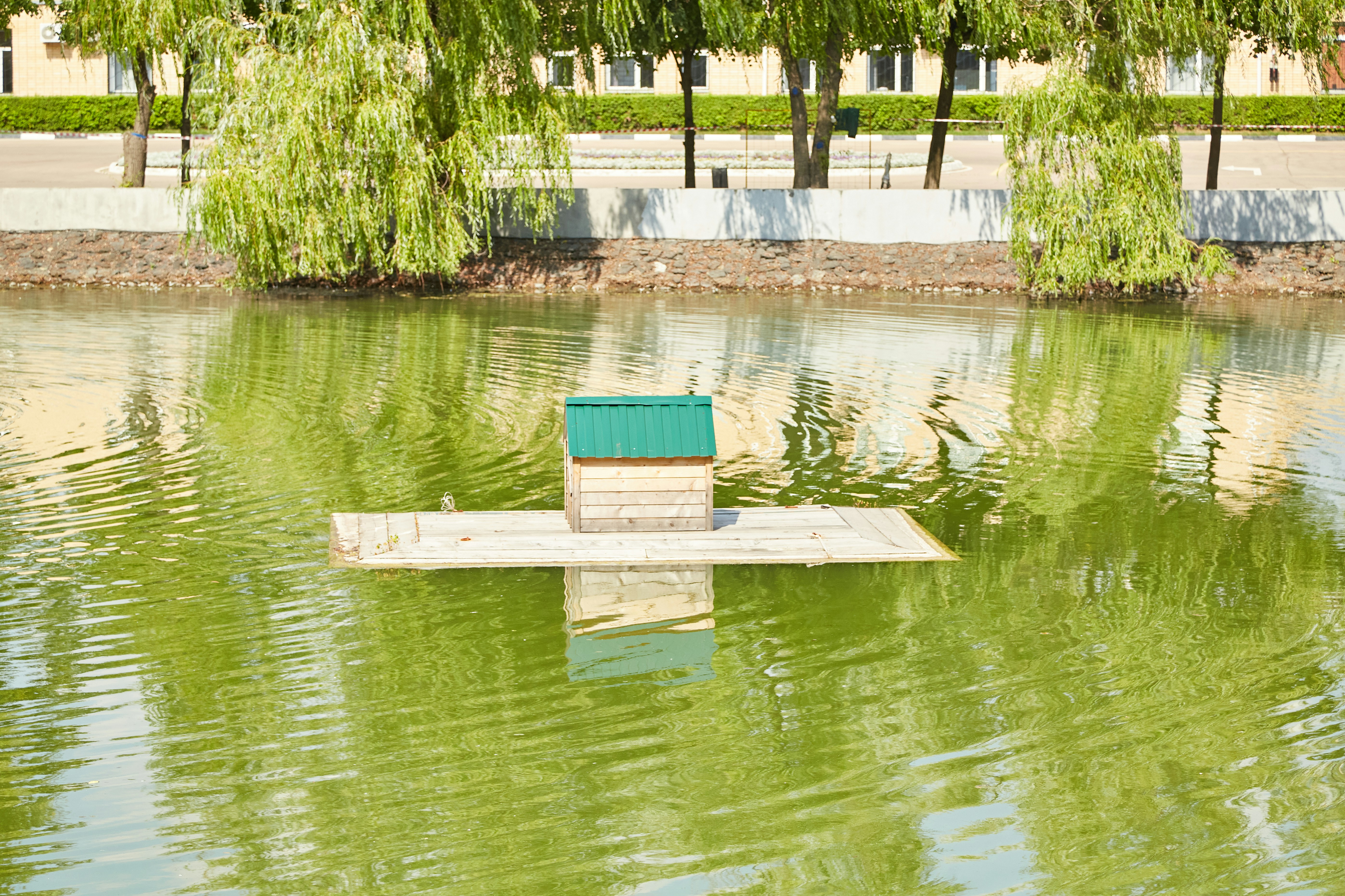 Baptismal Pool
